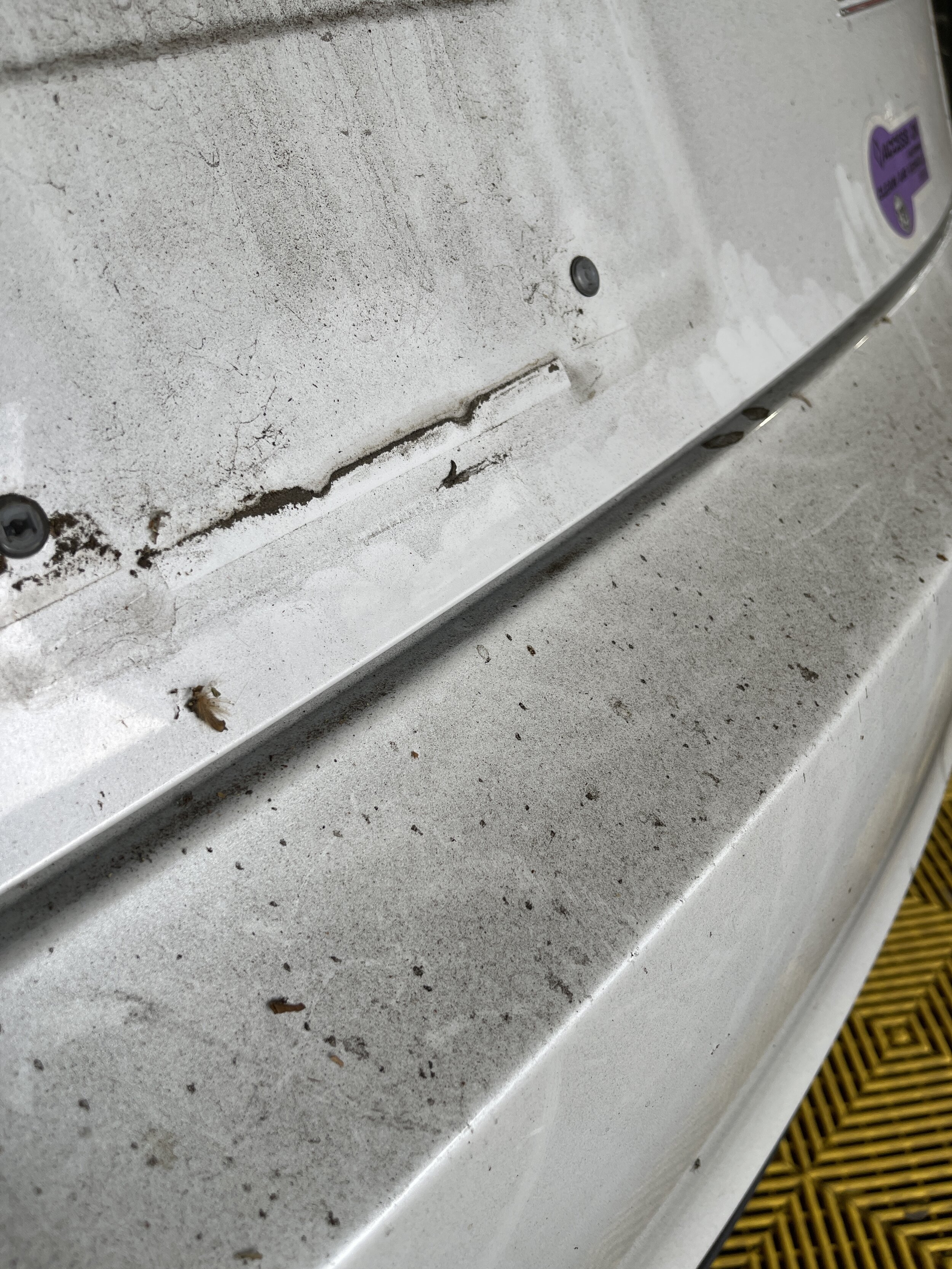 2018 Tesla Model 3 (Multicoat White)