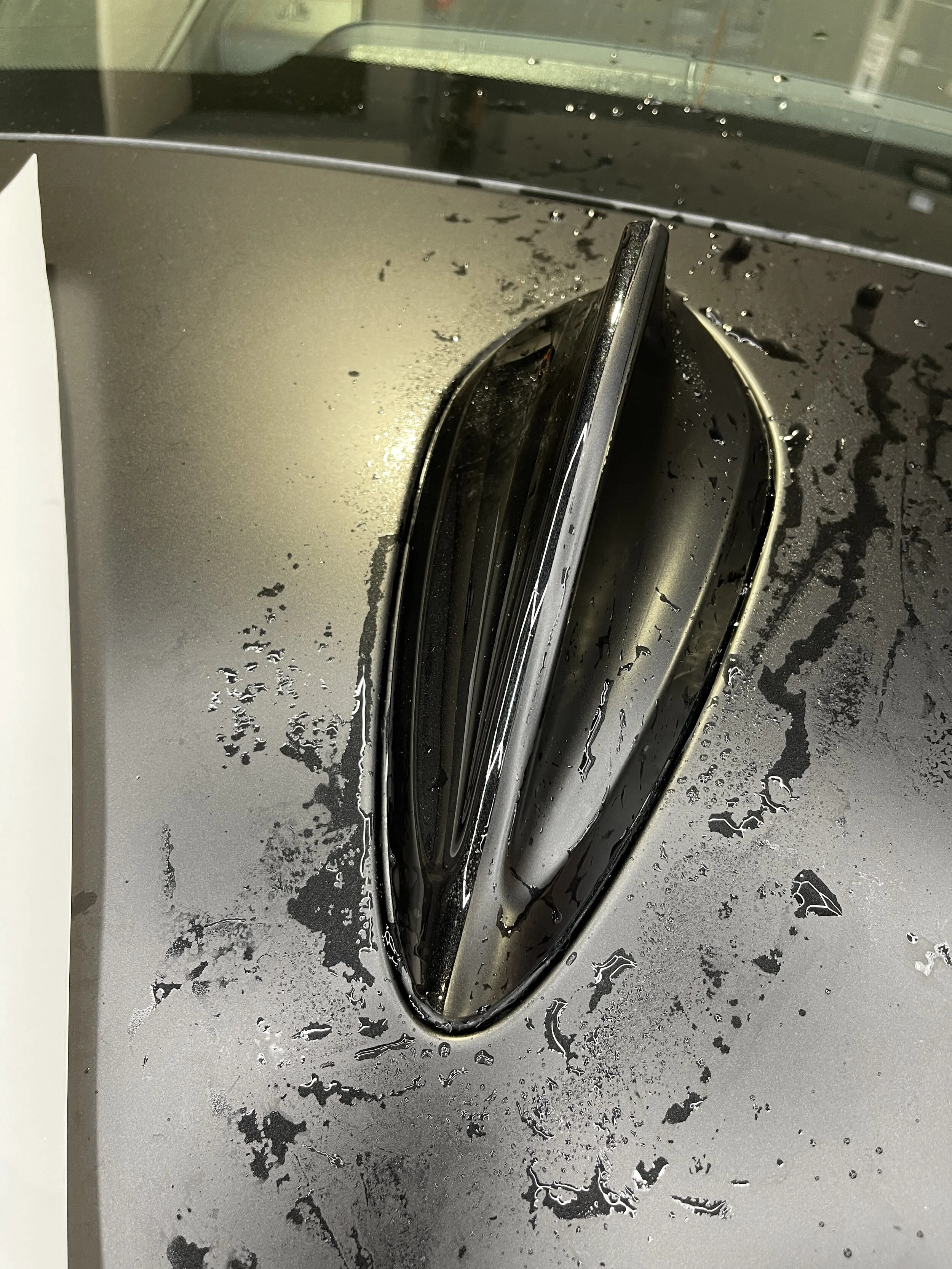 2021-07-02 15.40.38.jpg