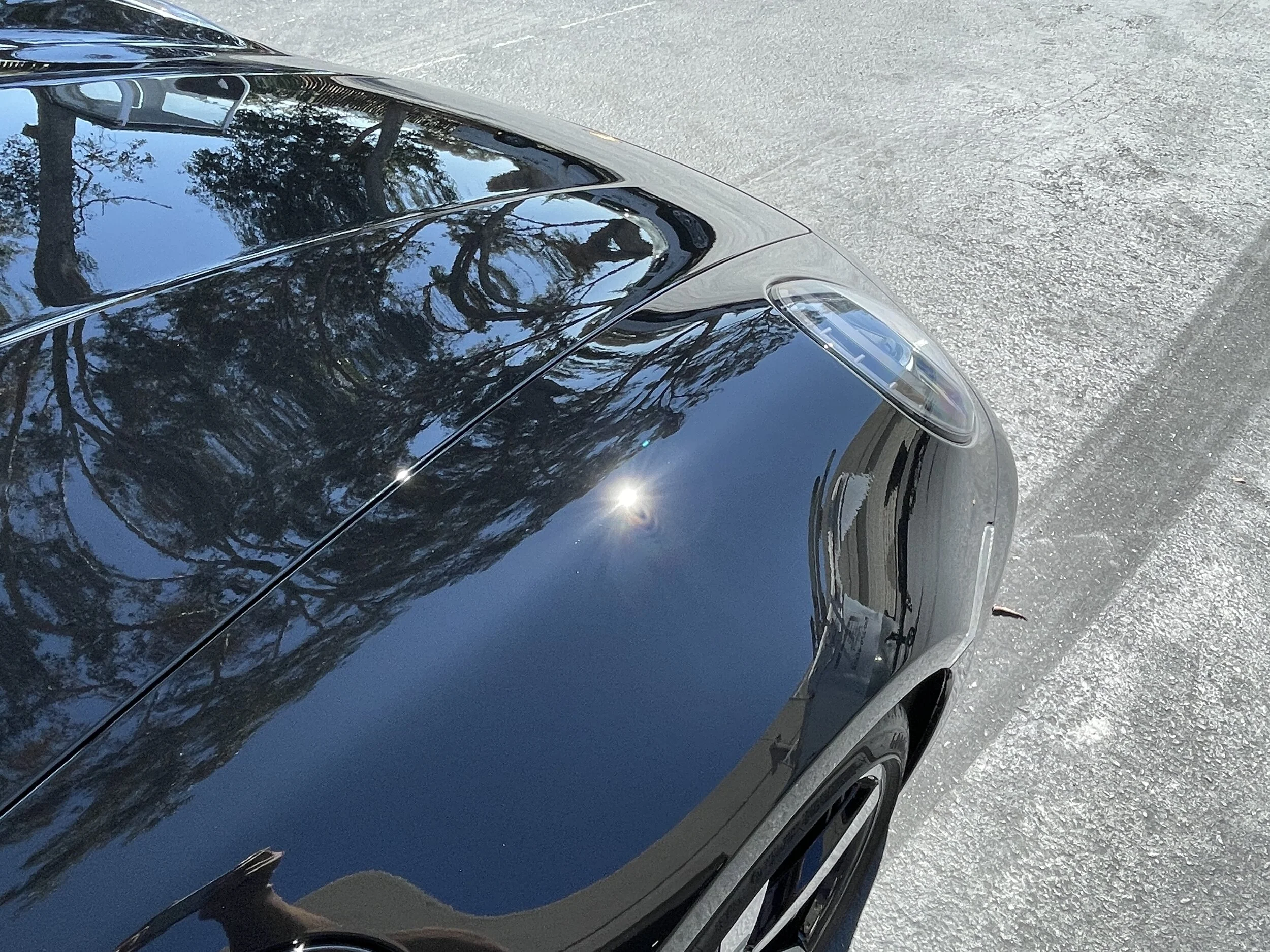 2021-07-20 16.04.49.jpg