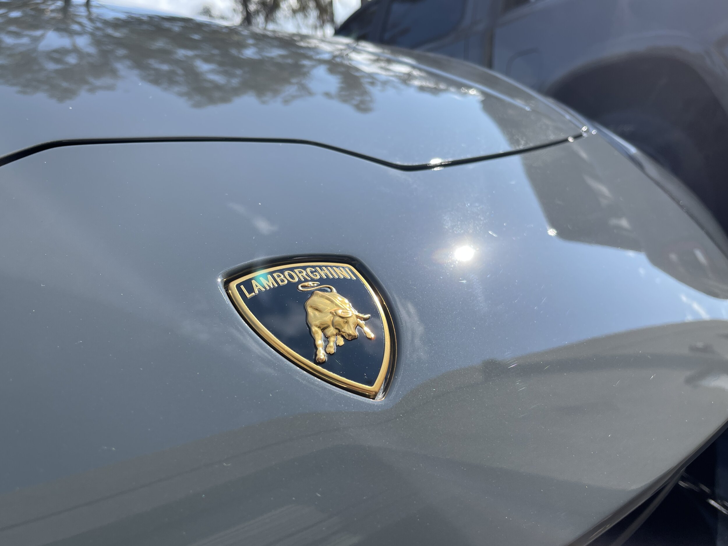 2021-08-13 16.30.09.jpg