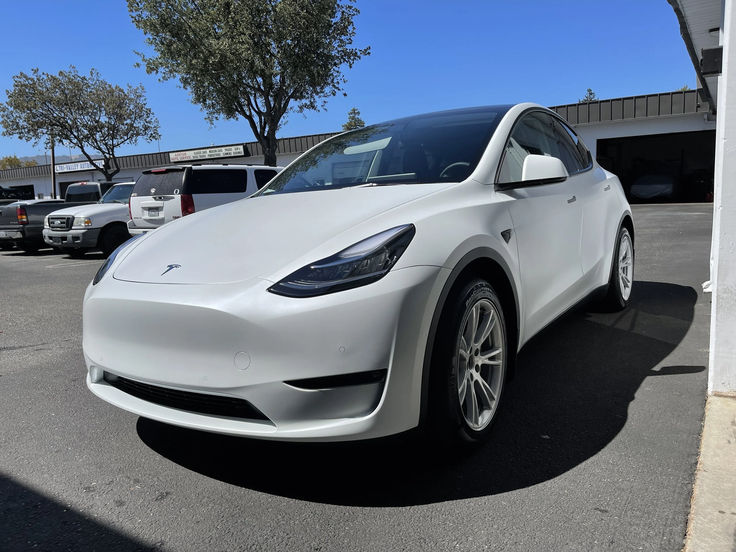 2021 Tesla Model Y (Multicoat White)