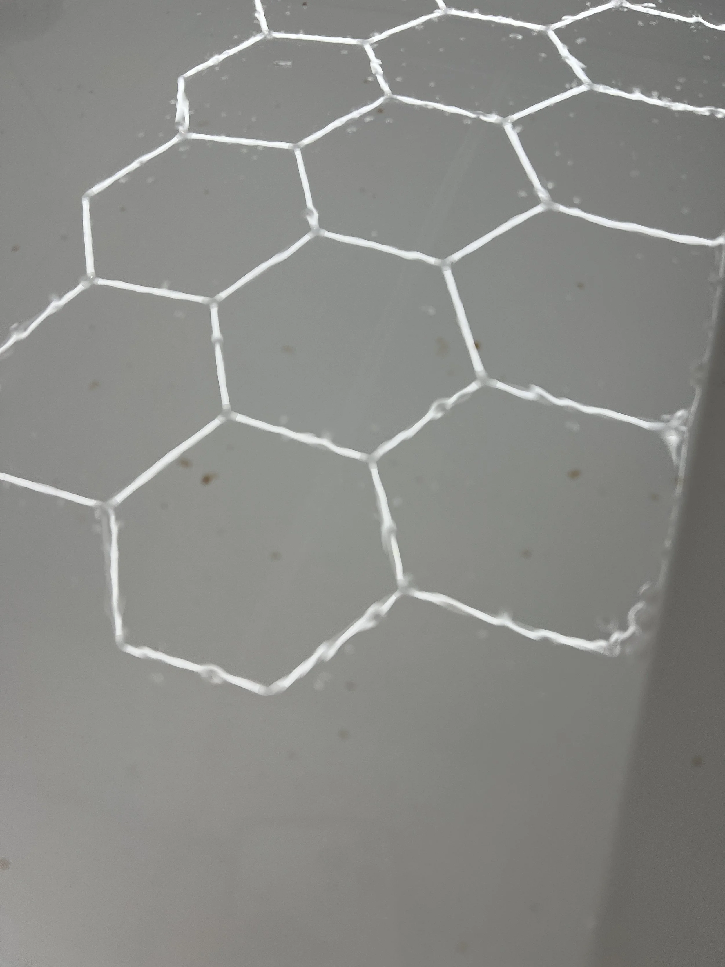 2021-11-16 12.01.09.jpg