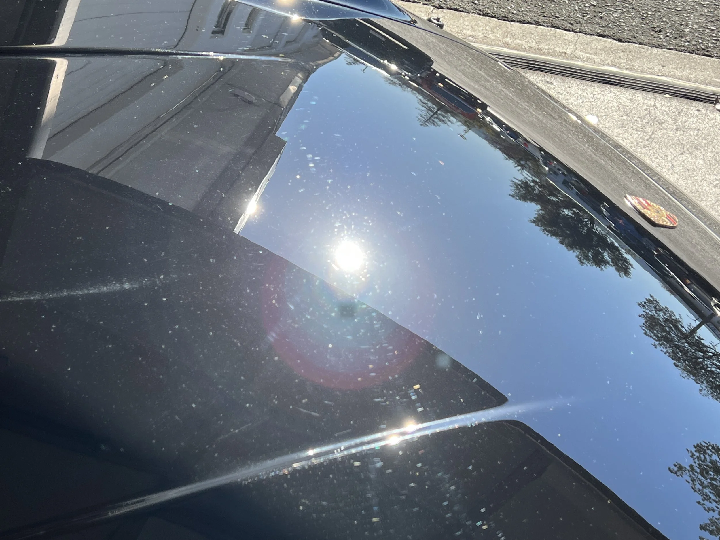 2021-11-30 13.29.15.jpg