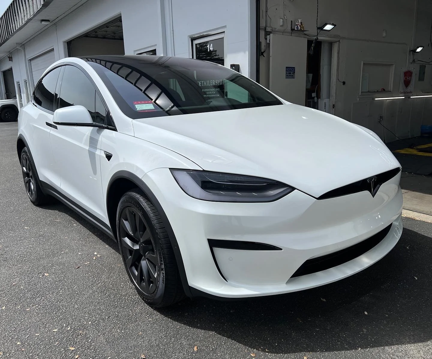 2022 Tesla Model X (Multicoat White)