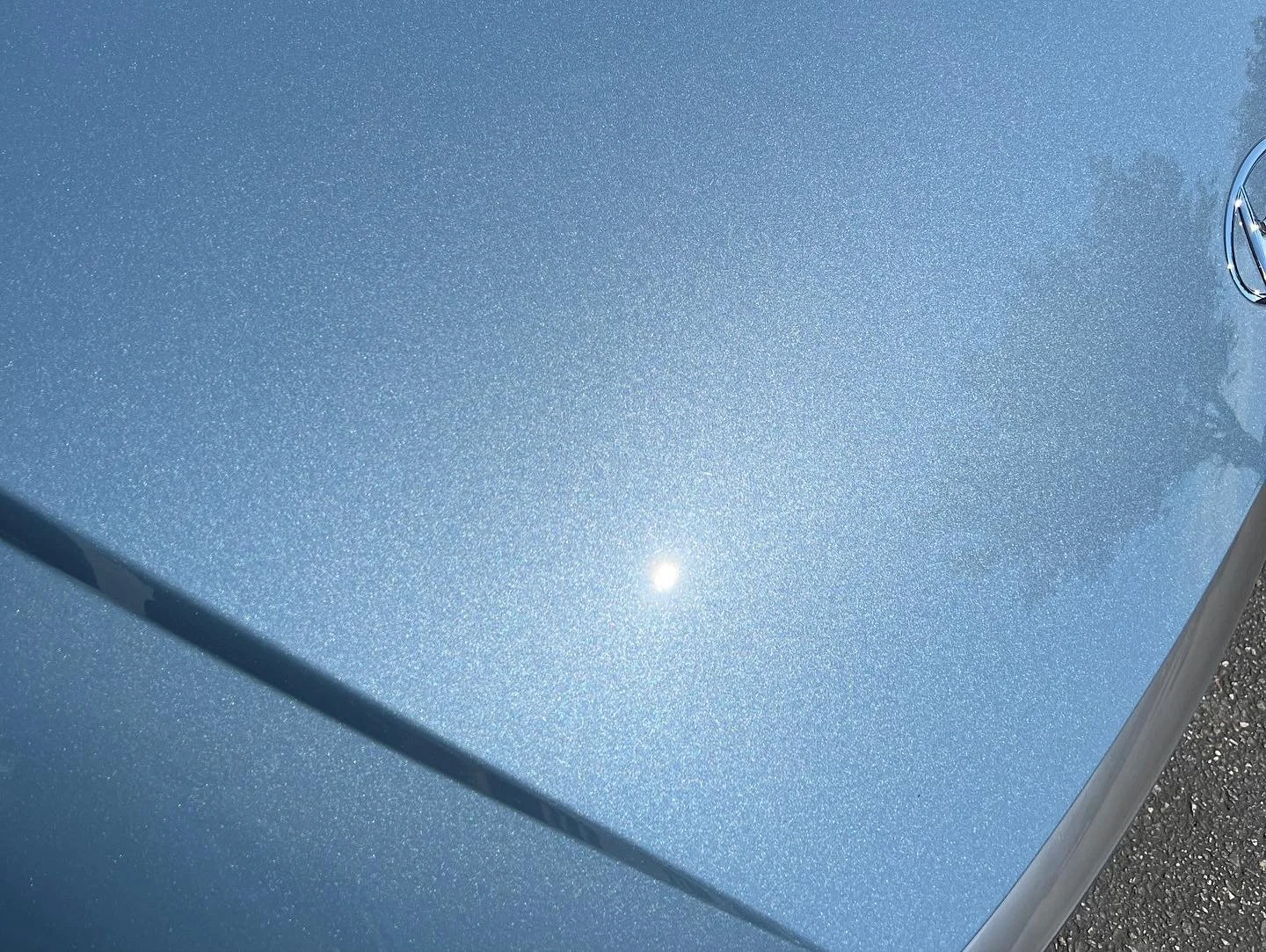 2022-07-30 07.26.24.jpg