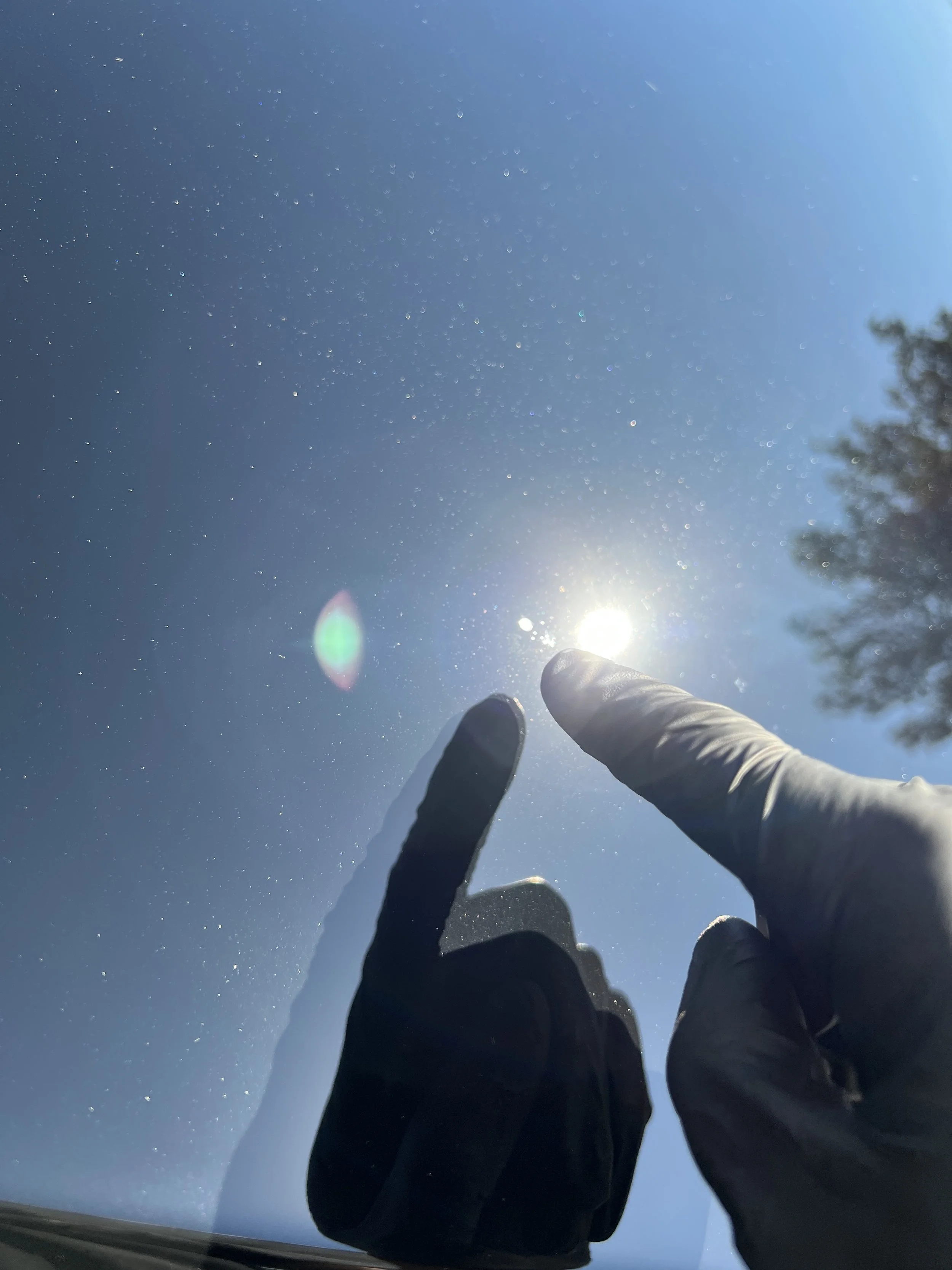 2022-09-01 15.46.07.jpg