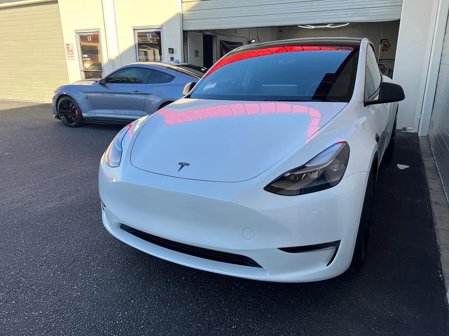 2022 Tesla Model Y (Multicoat White)