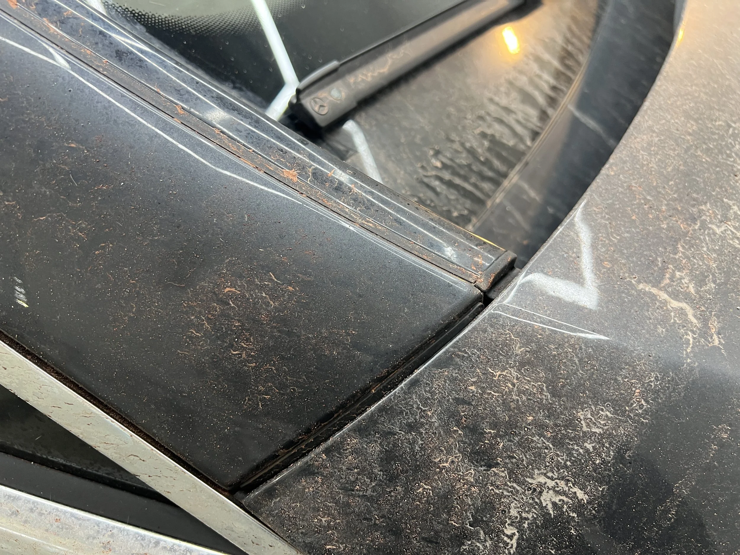 2023-01-23 09.13.26.jpg