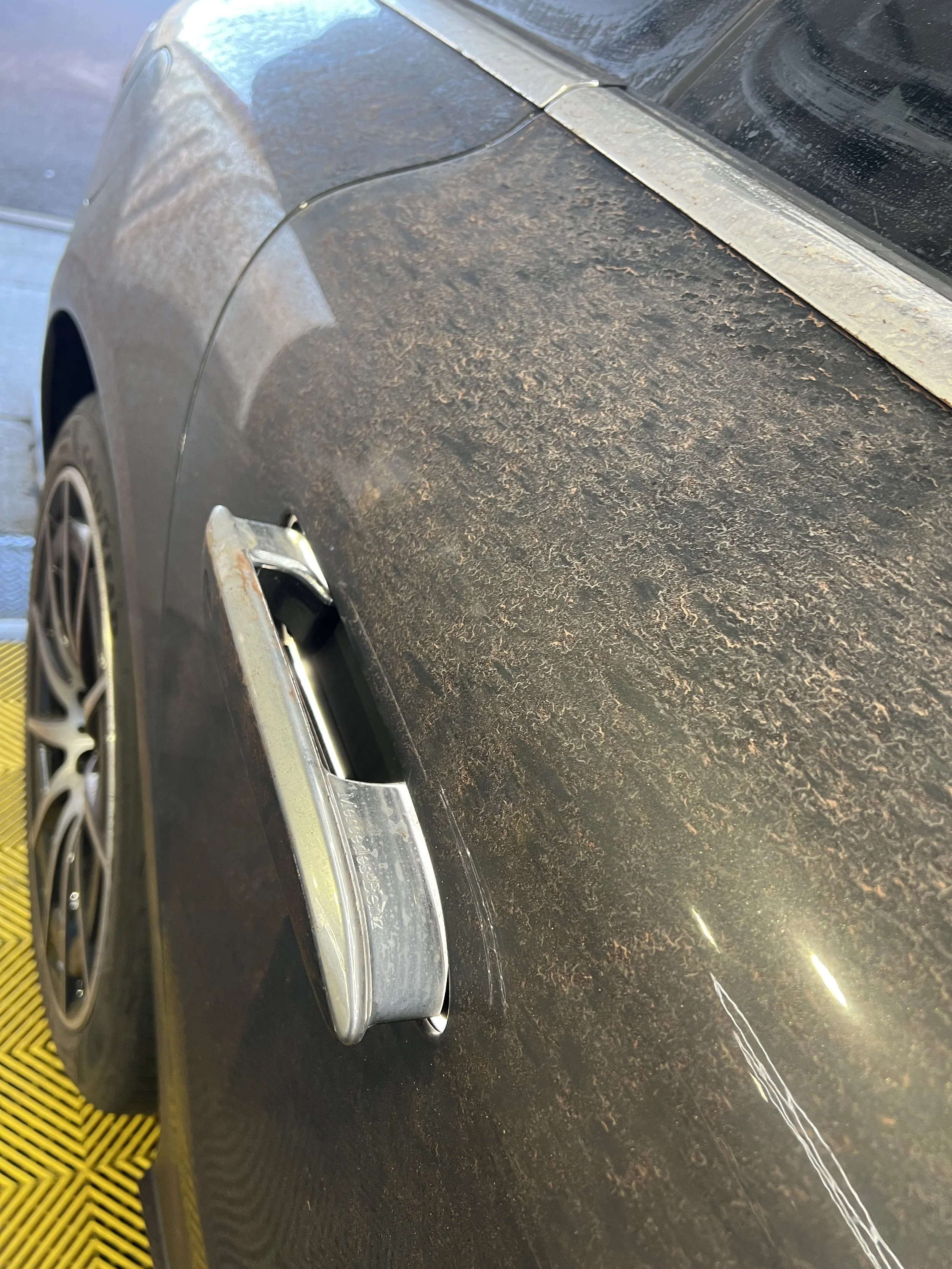 2023-01-23 09.13.36.jpg