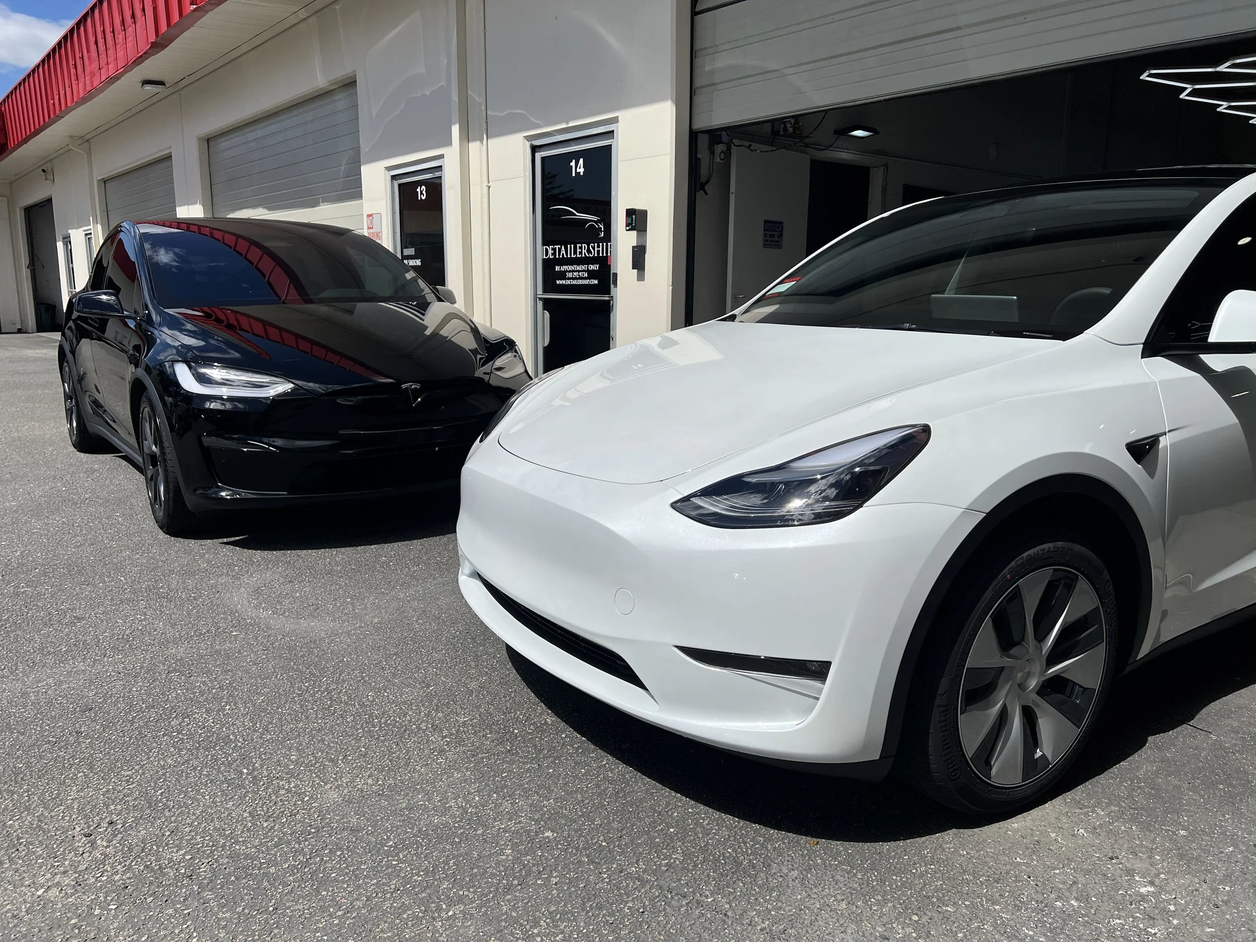 2023 Tesla Model Y (Multicoat White) 