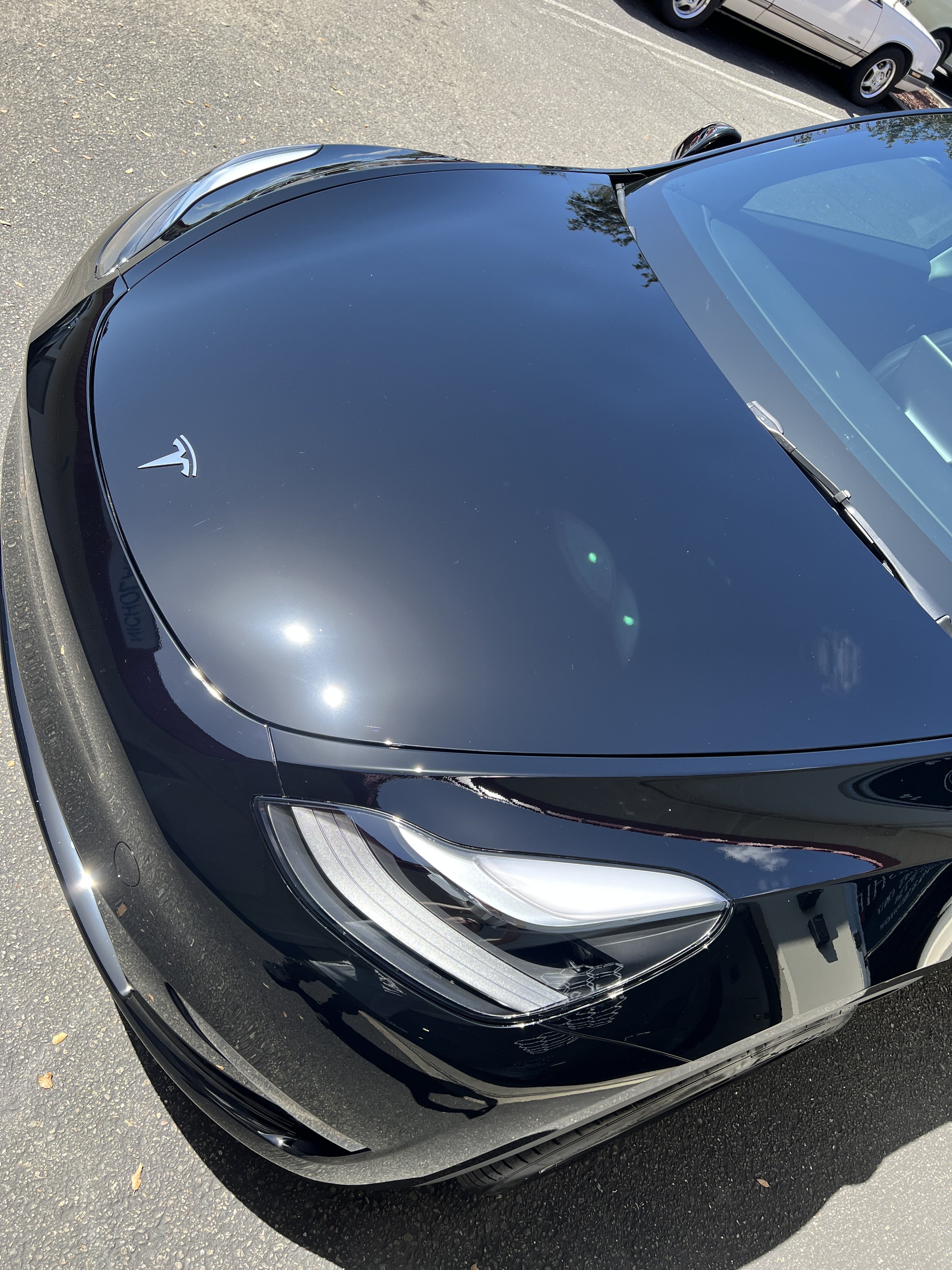 2023-04-19 12.14.08.jpg