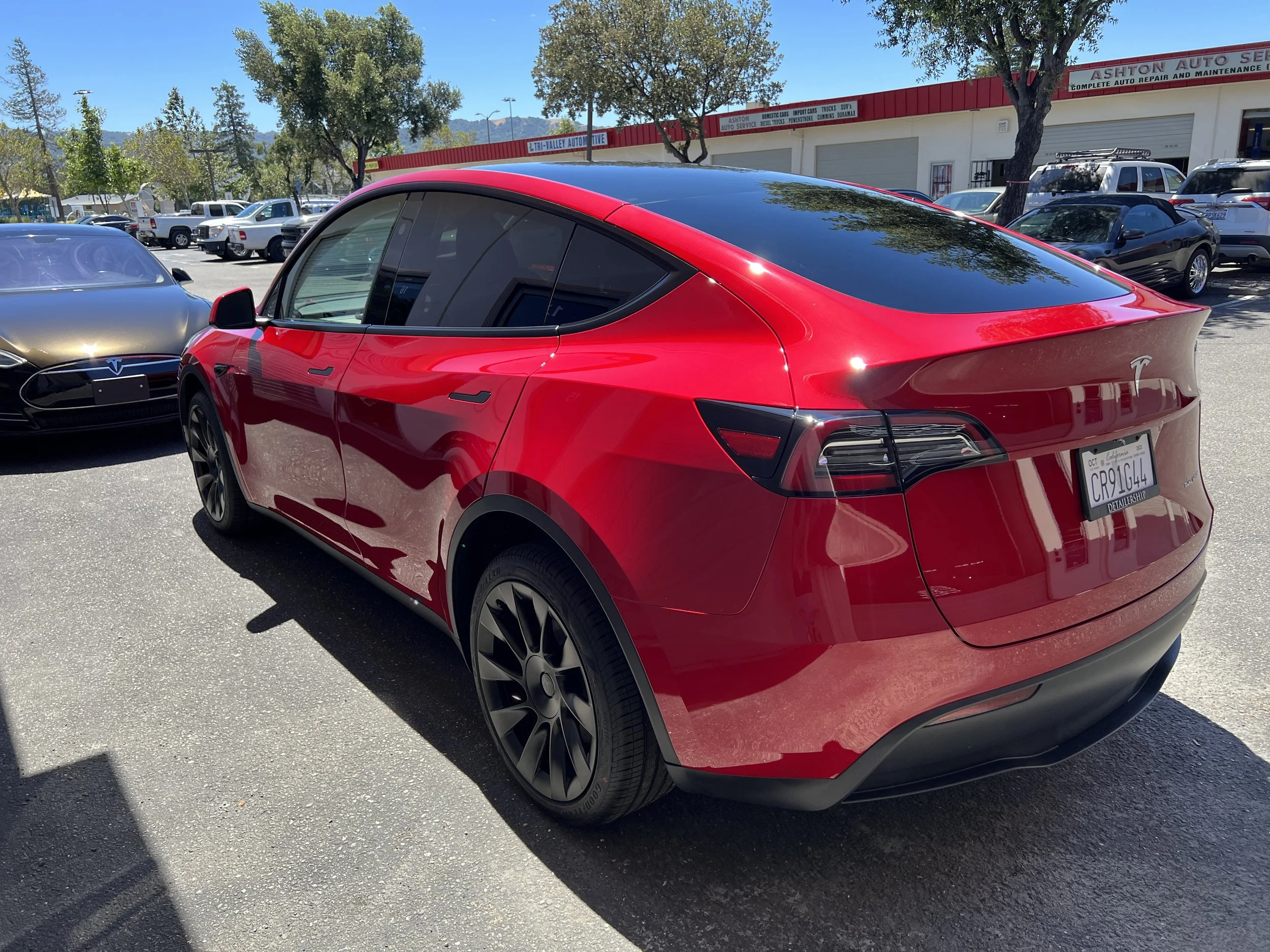 2023 Tesla Model Y (Multicoat Red)