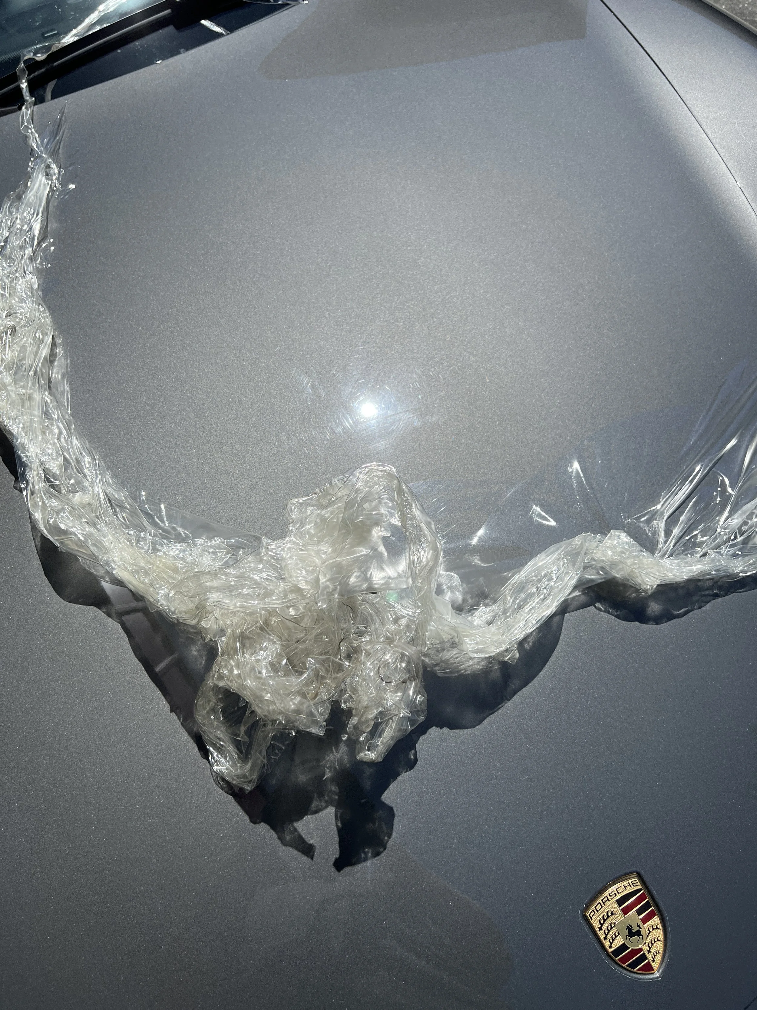 2023-08-08 12.49.48.jpg