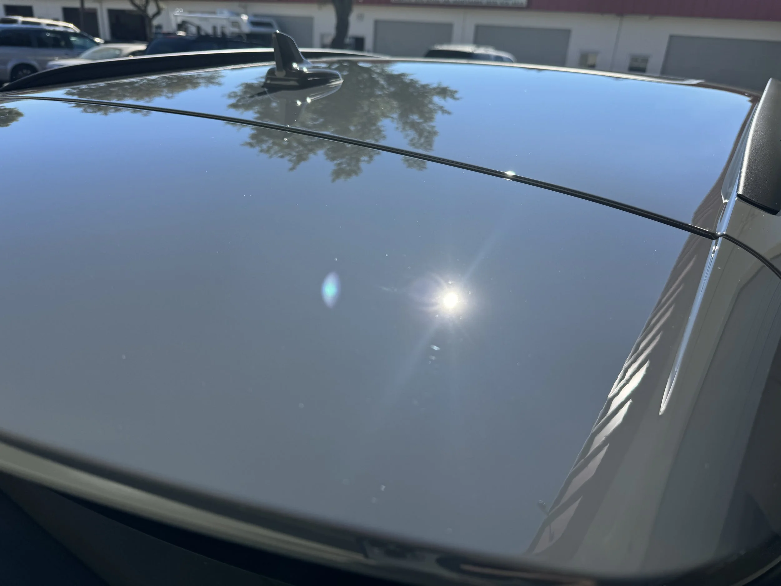 2024-07-16 16.45.38.jpg