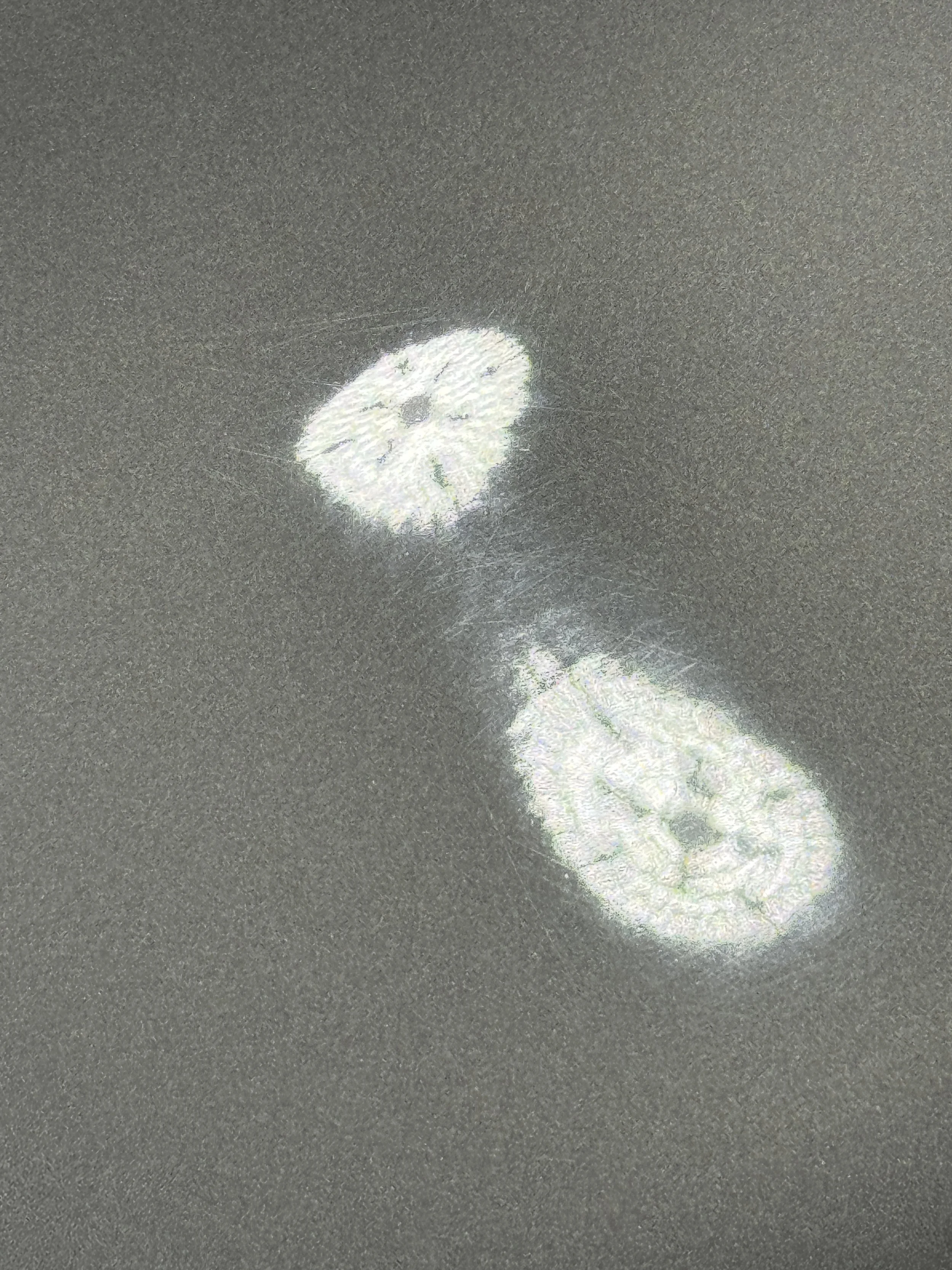 2024-09-09 14.38.09.jpg