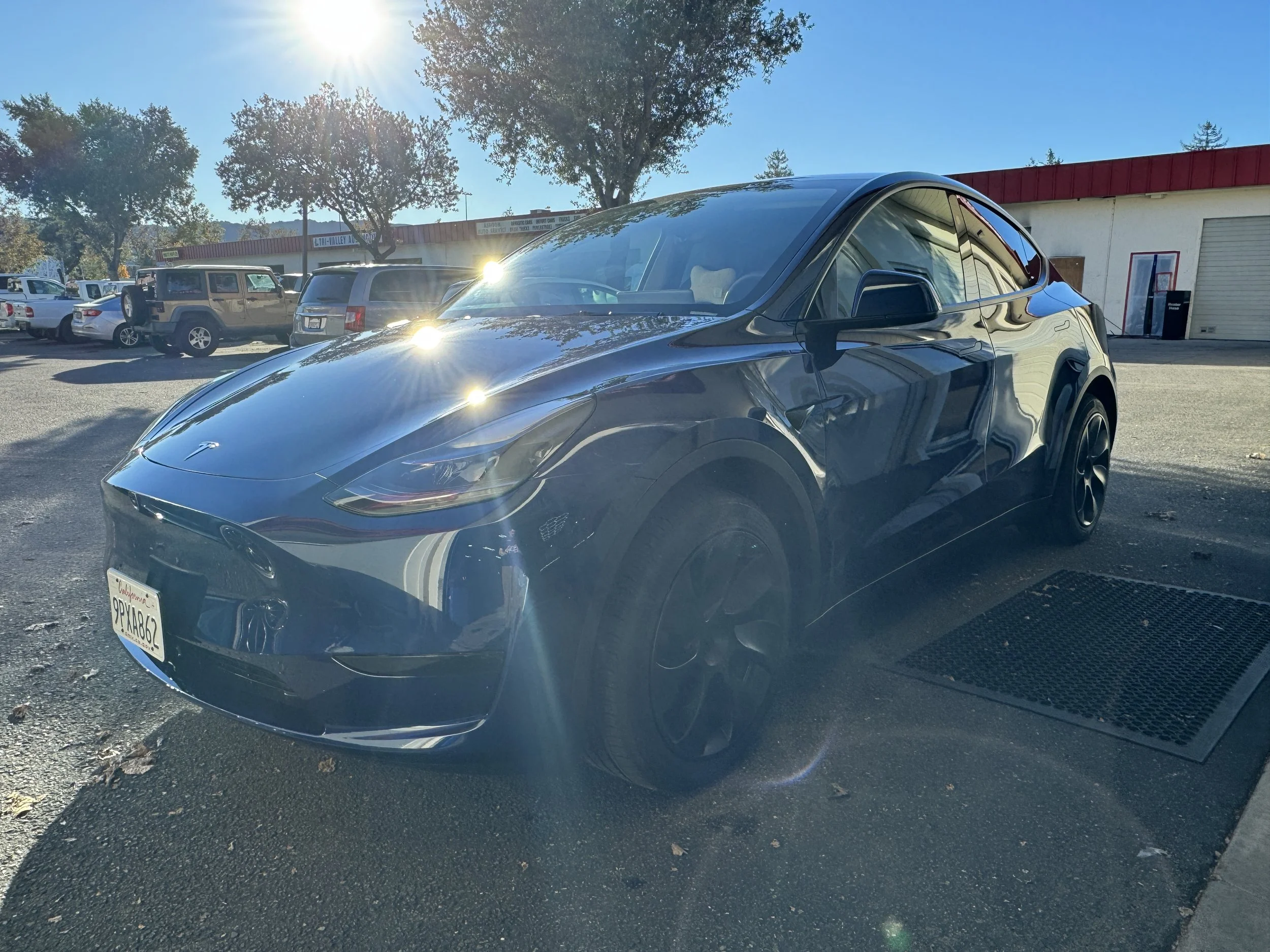 2024 Tesla Model Y (Blue Metallic)