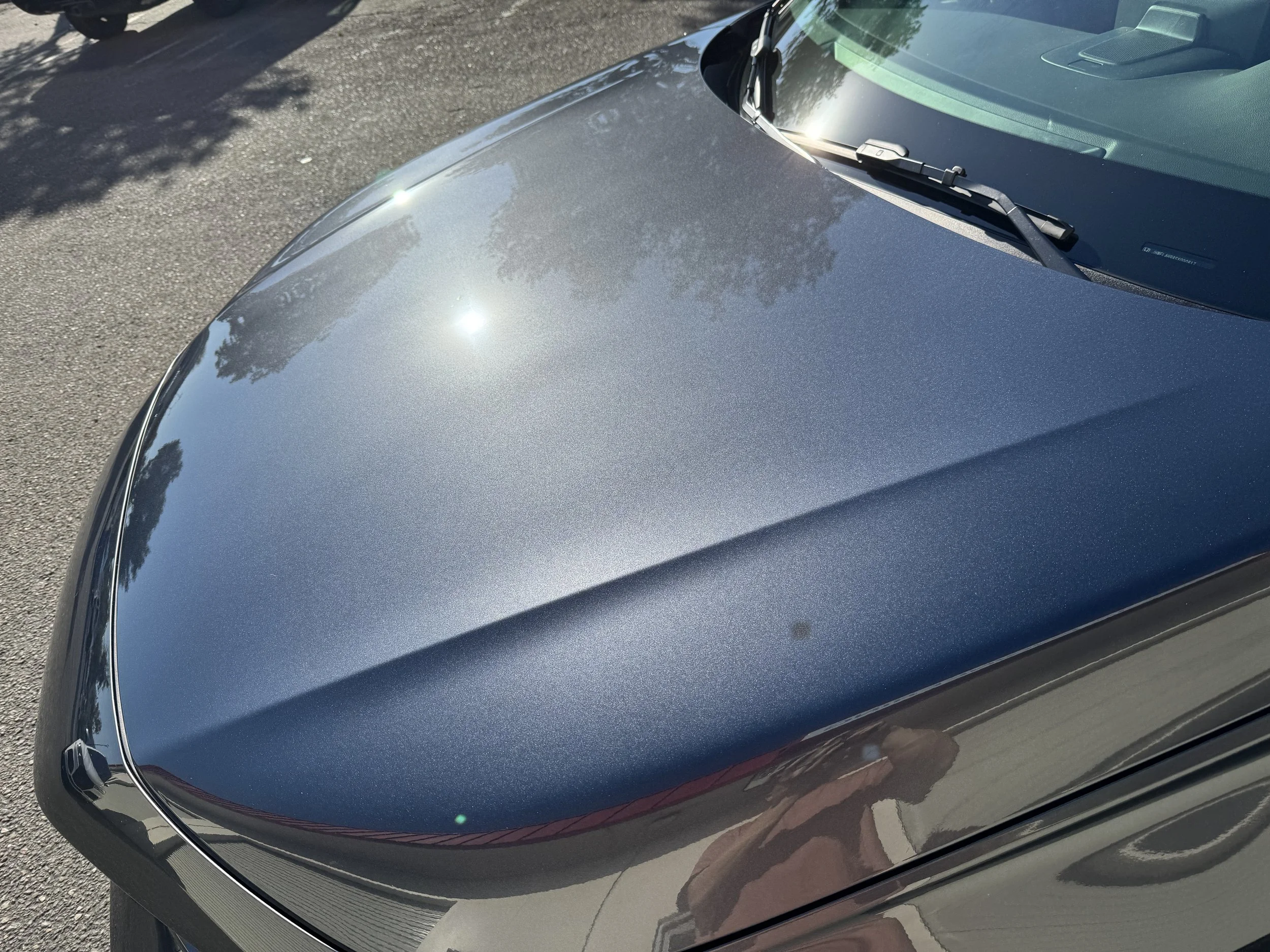 2025-09-23 16.45.17.jpg