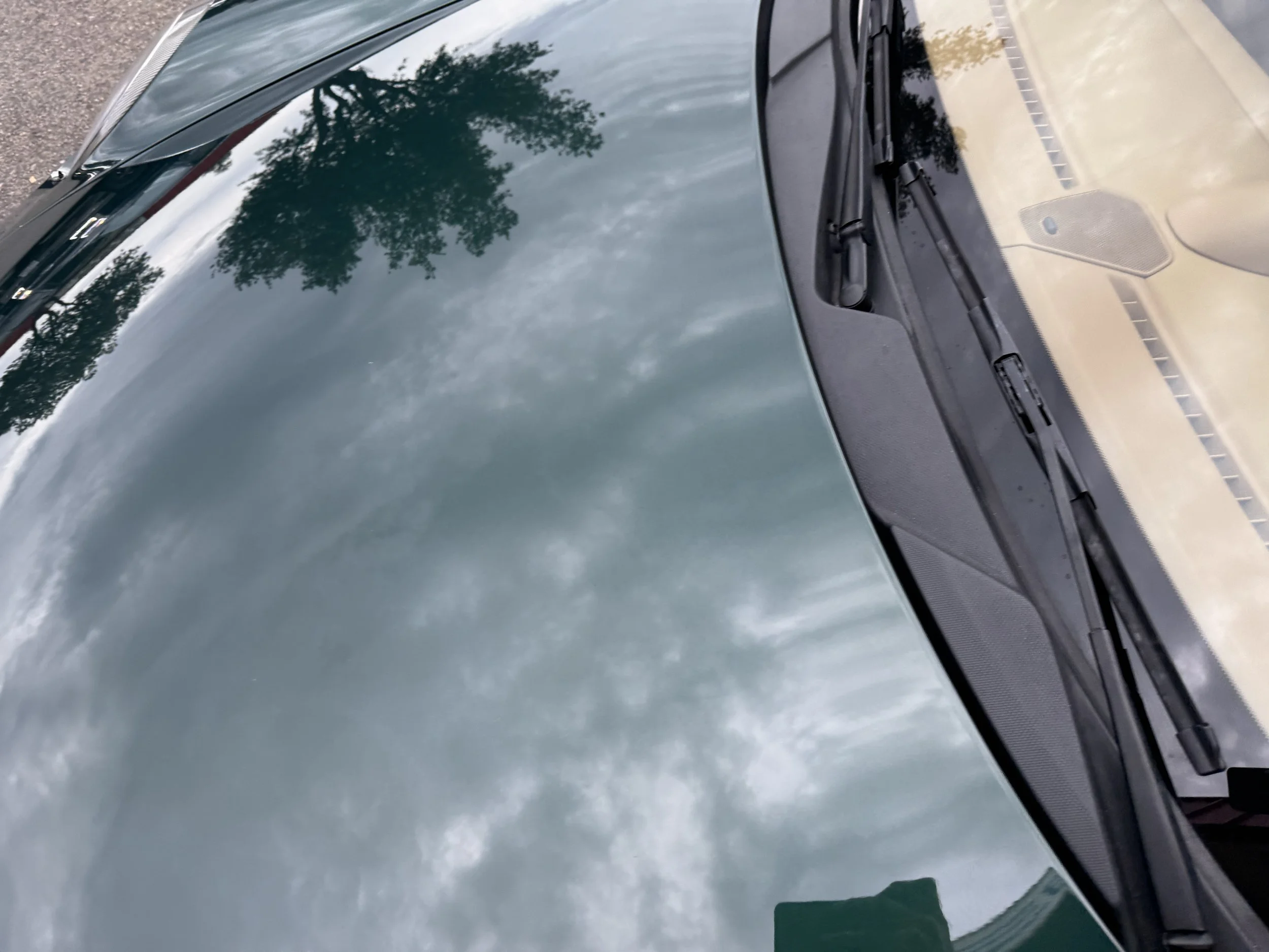 2025-11-12 15.58.29.jpg