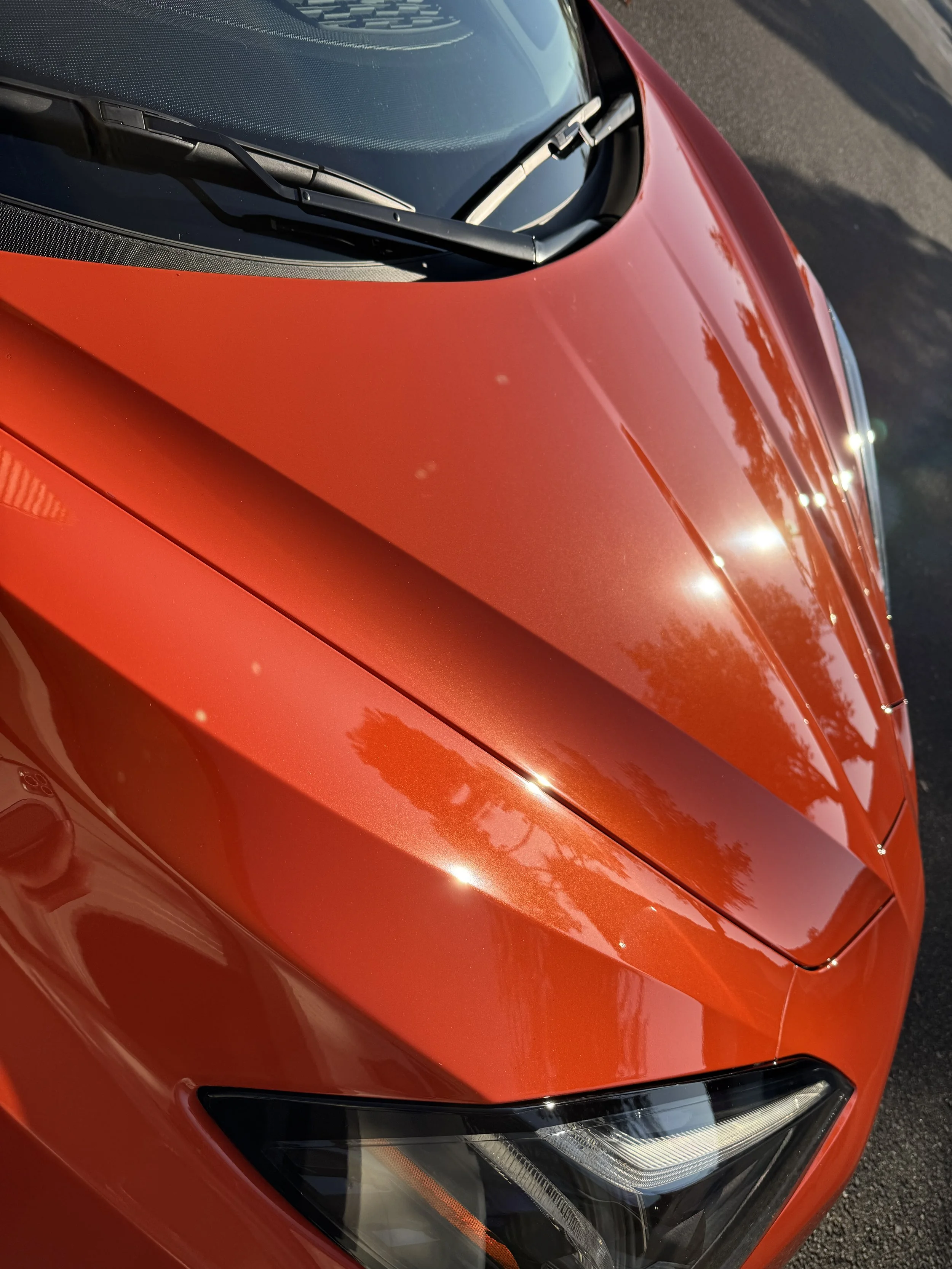 2025-12-10 15.05.08.jpg