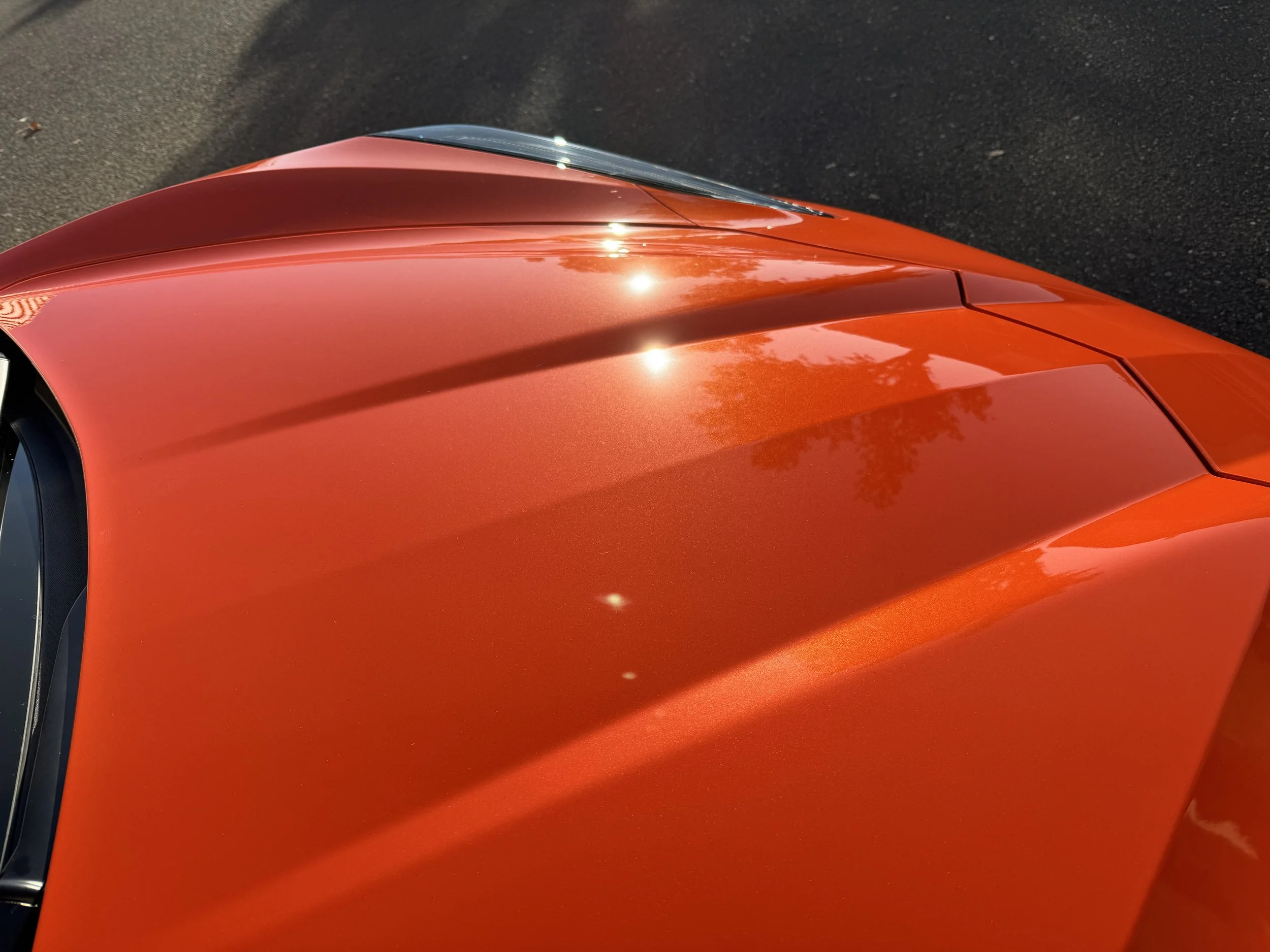 2025-12-10 15.04.58.jpg