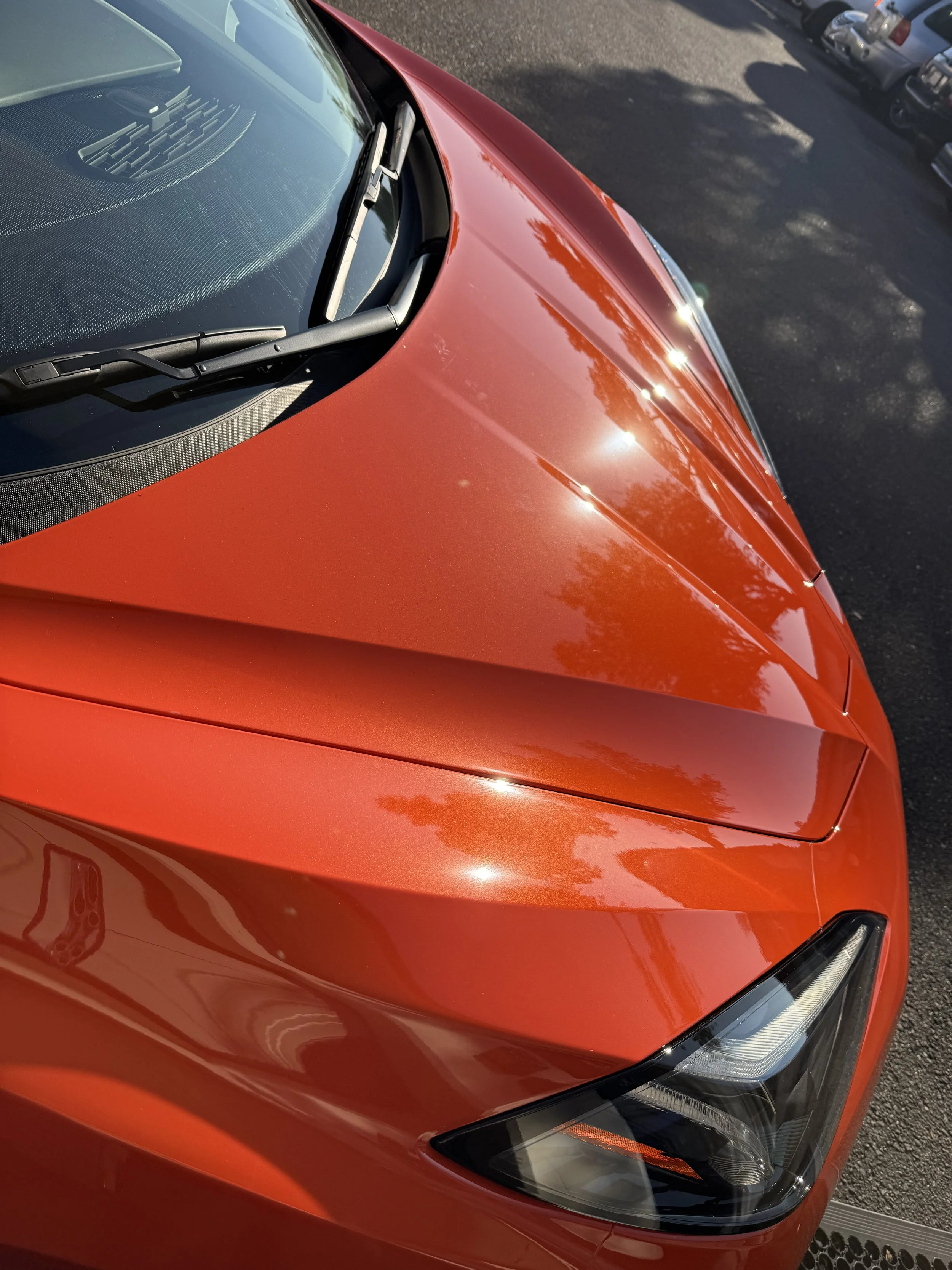 2025-12-10 15.04.28.jpg