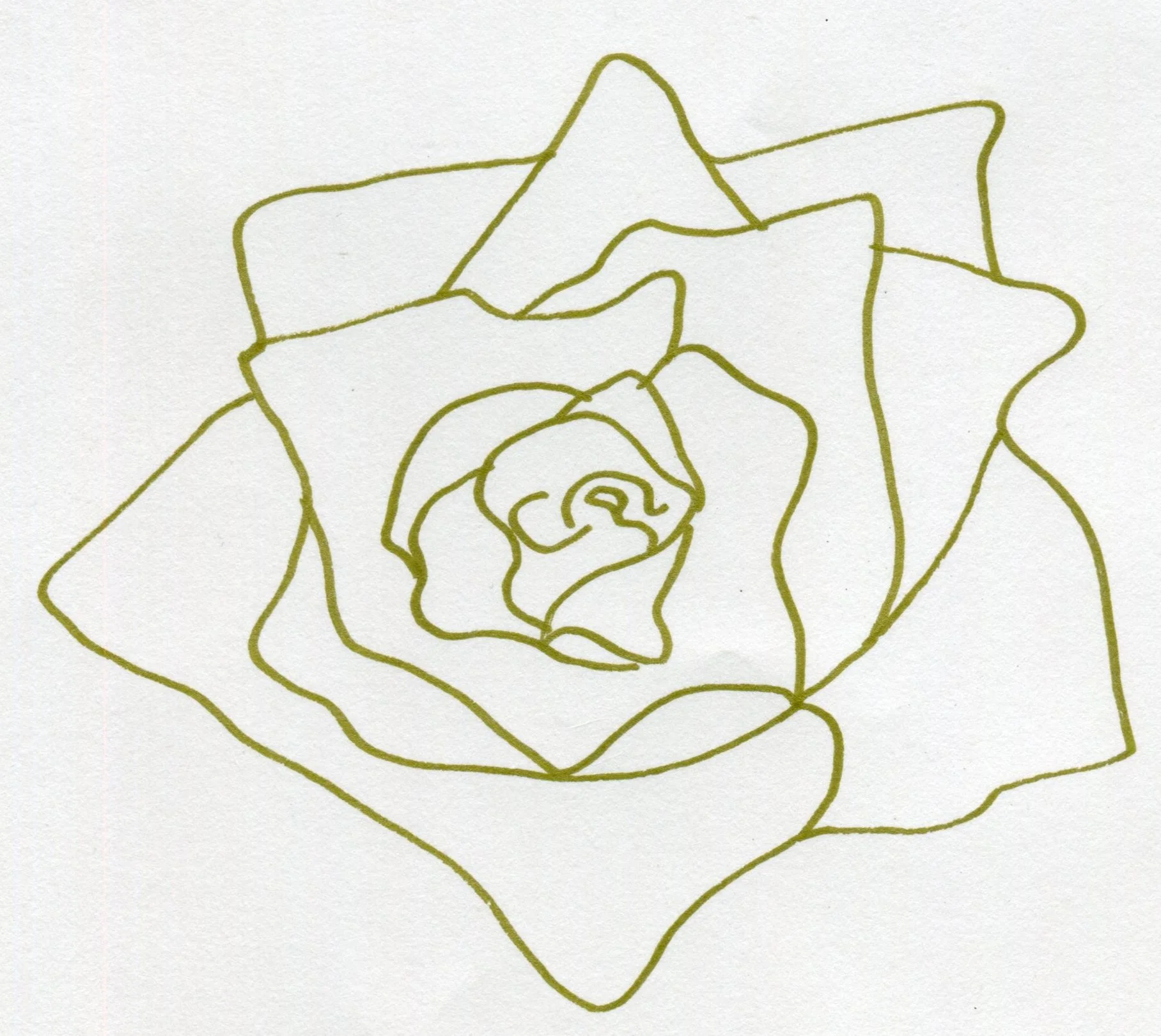 Gold rose outline (drawn) (1).jpg