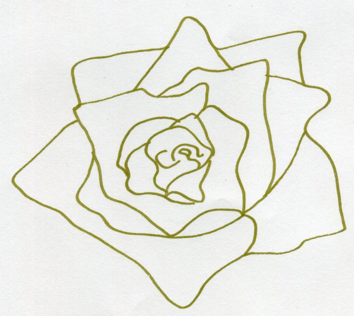 NAOMI ROSE: Encouraging your flowering