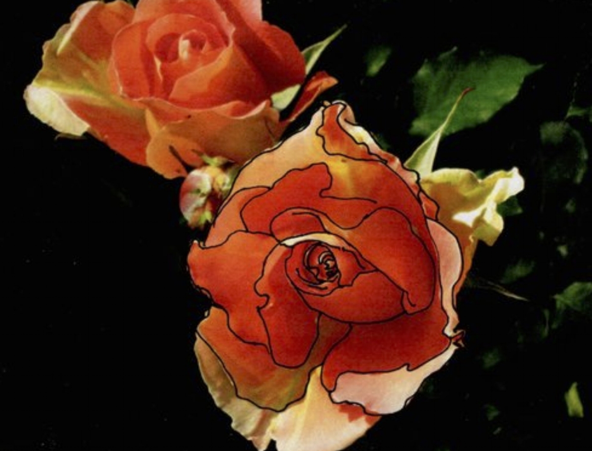 encouraging your flowering ~ working with naomi rose