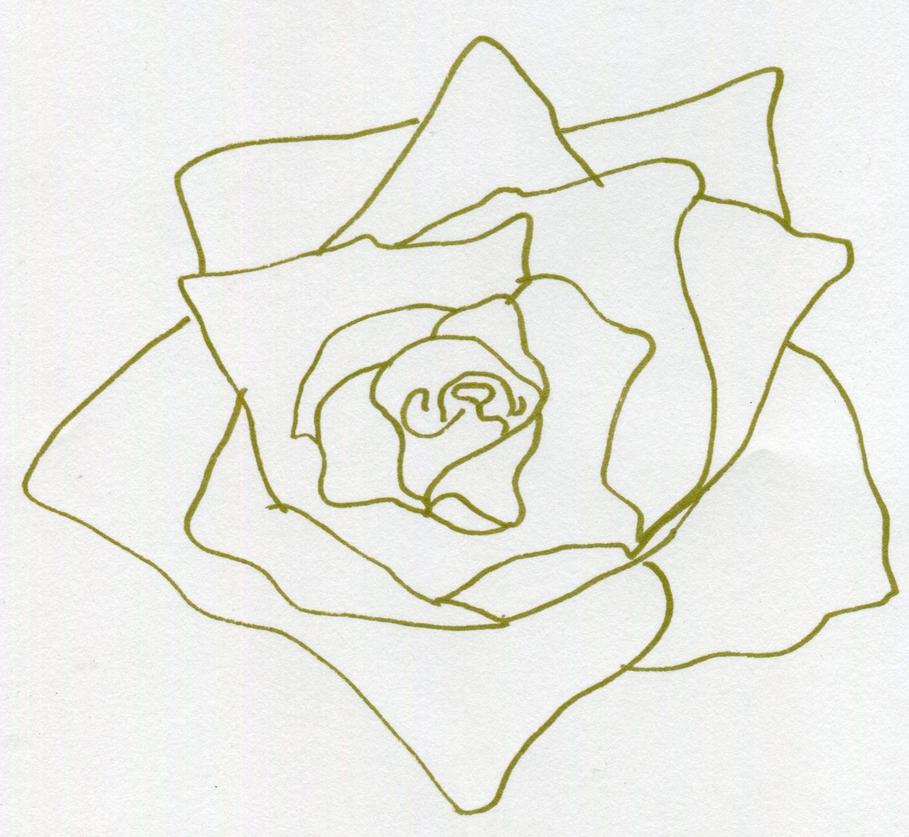 #14: HEART OF THE ROSE (DRAWING — BONUS)