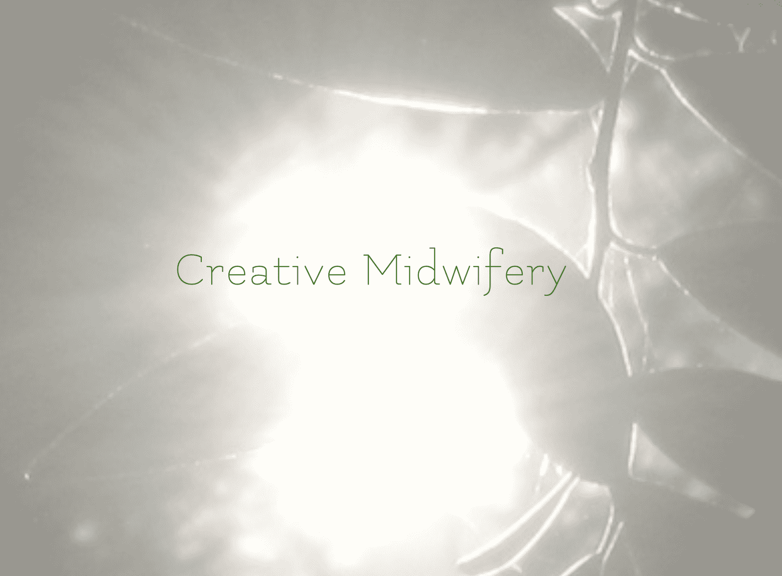Creative Midwifery (Compressed).png