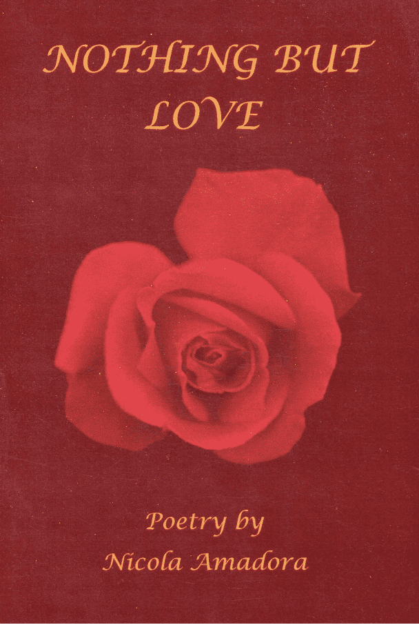 Nothing But Love book cover (Compressed).png