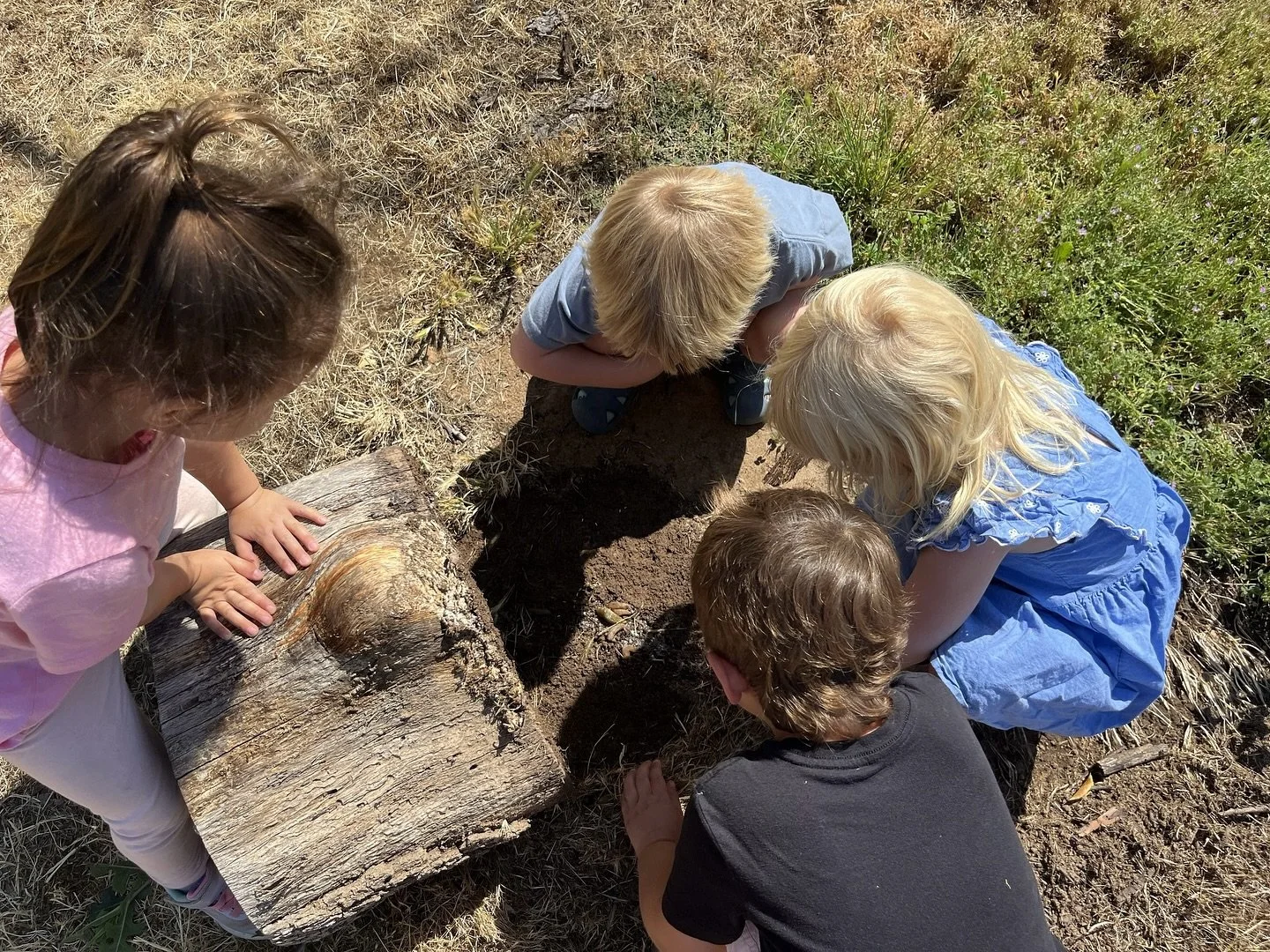 Playtime is precious. Play builds brain pathways for thinking, creativity, flexibility, empathy and many other lifelong skills.

Muck and Wonder is currently in open enrollment! Please visit our website for some information on how to book a tour!

Mu