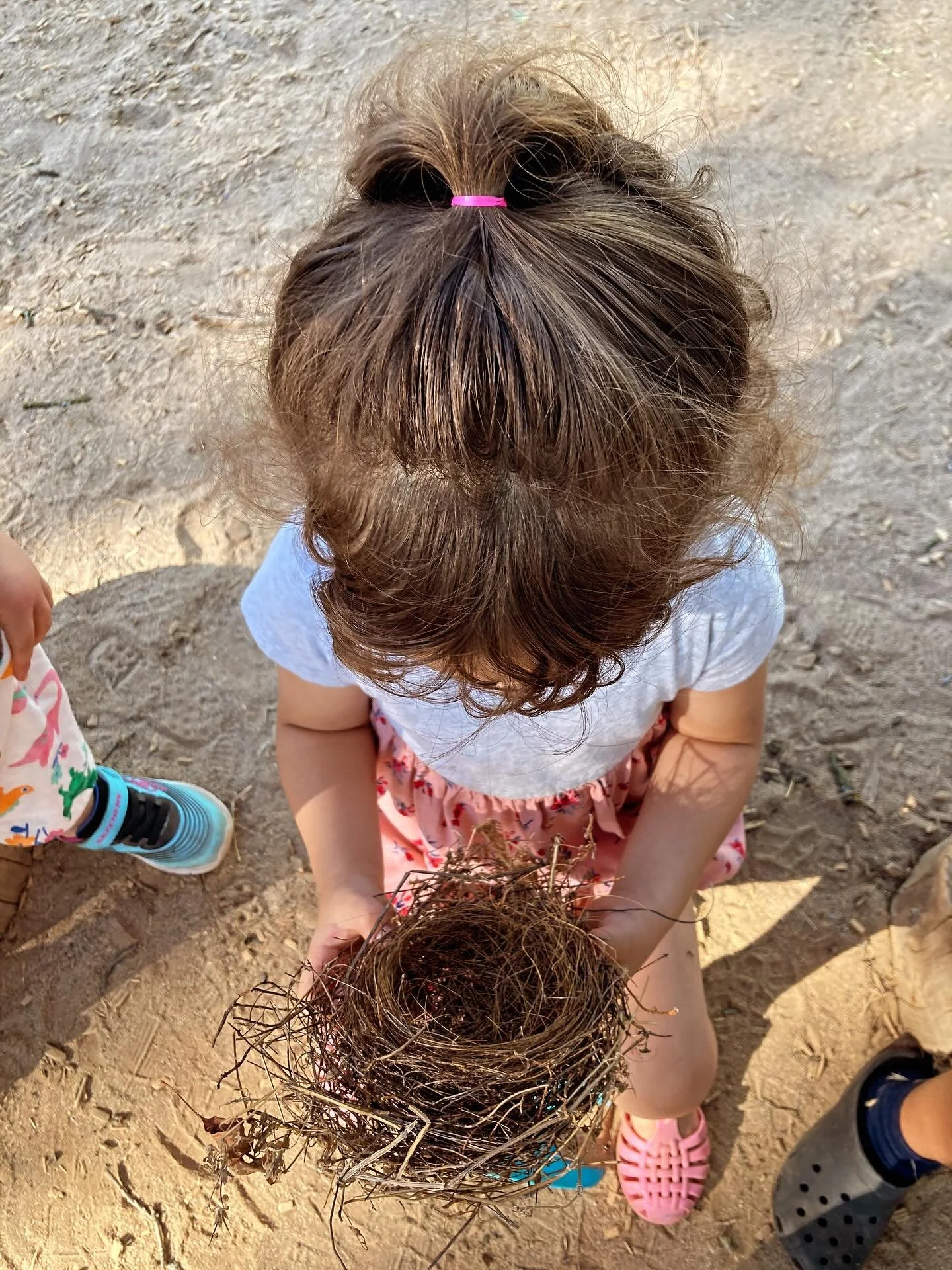 A moment of discovery and wonder&hellip; followed by making connections to the world around them. 🪹 🐣✨

In the first photo, a child studies a bird&rsquo;s nest - curiosity sparked. In the second, she&rsquo;s gathering natural materials to build her