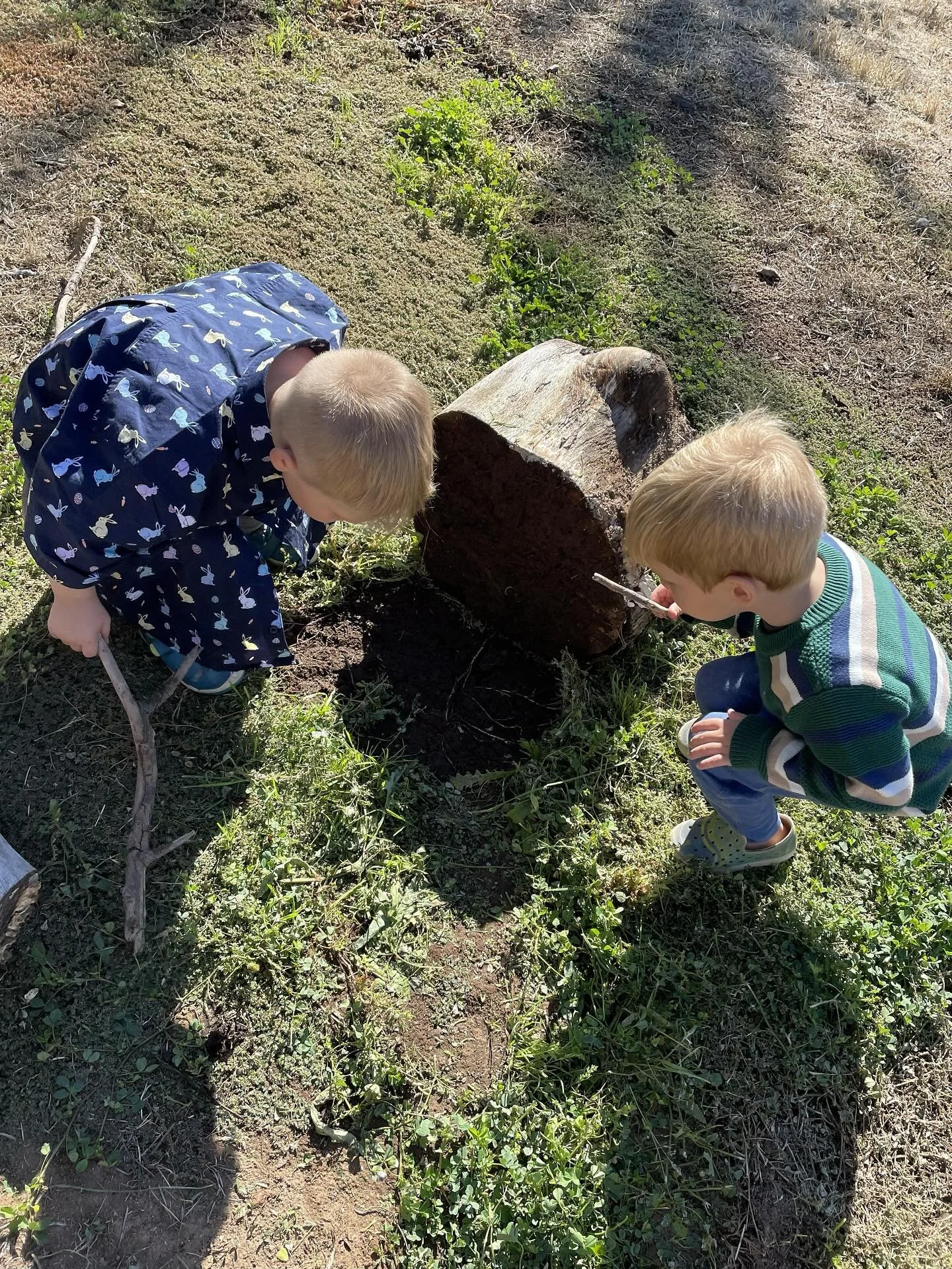 Discovery is the heartbeat of early childhood &mdash; every log turned, every question asked, every wonder-filled &ldquo;why?&rdquo; grows a lifelong love of learning.
. . .
#preschool #earlychildhood #play #discovery #getoutside #sacramento