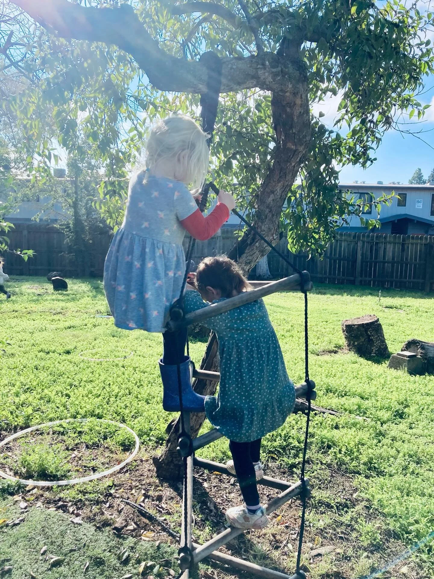 Nothing beats a sunny autumn morning at Muck and Wonder!
. . .
#preschool #earlychildhood #playbasedlearning #getoutside #sacramento