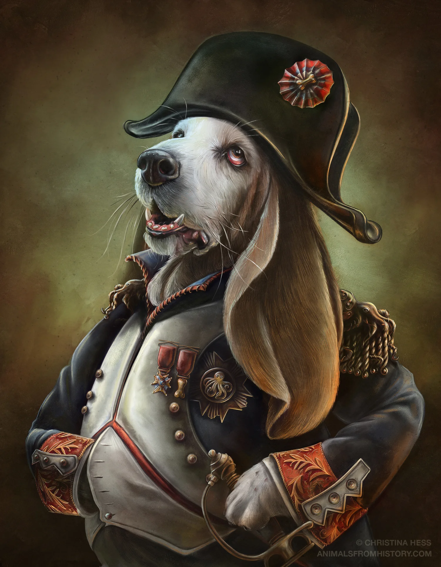 napoleon-boneaparte-christina-hess-afh.jpg