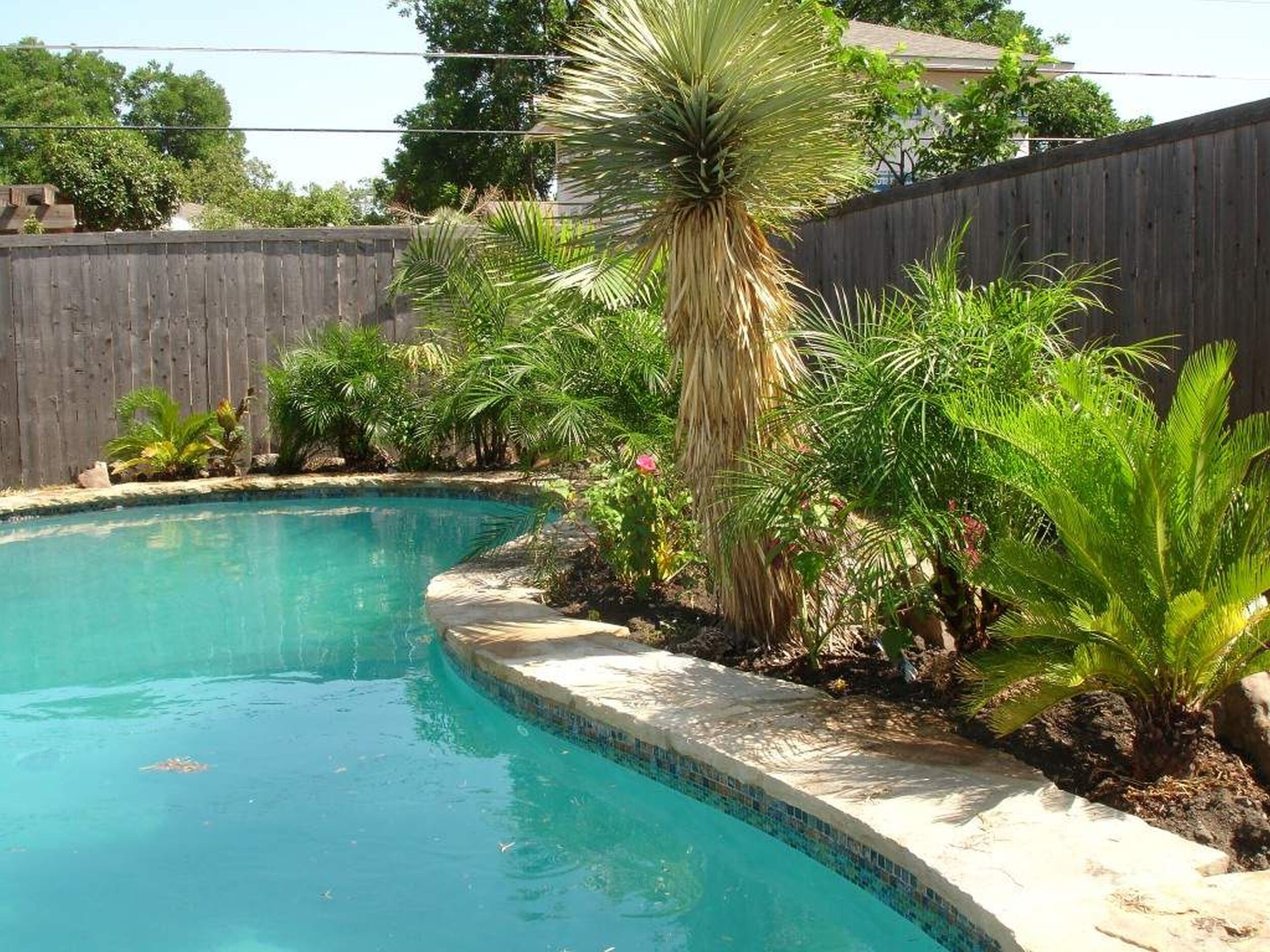 Got The Quarantine Blues Redesign Your Pool Area Beverly Sells Sarasota - Tropical Landscaping Ideas Around Pool