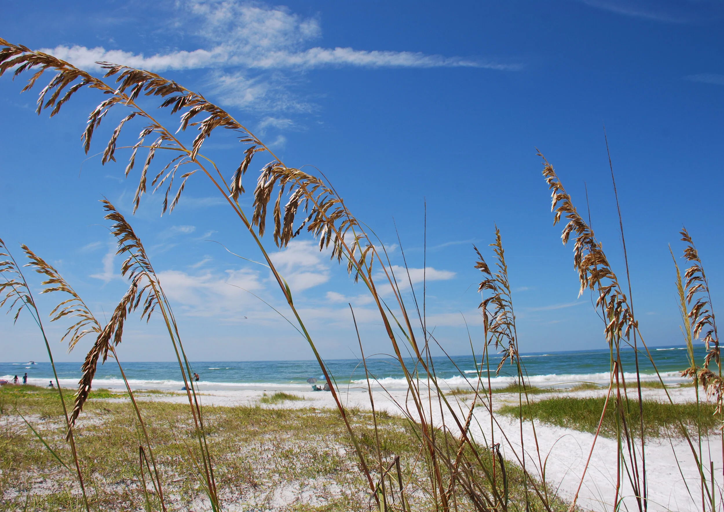 Your Realtor – A Virtual Adventure Expert!