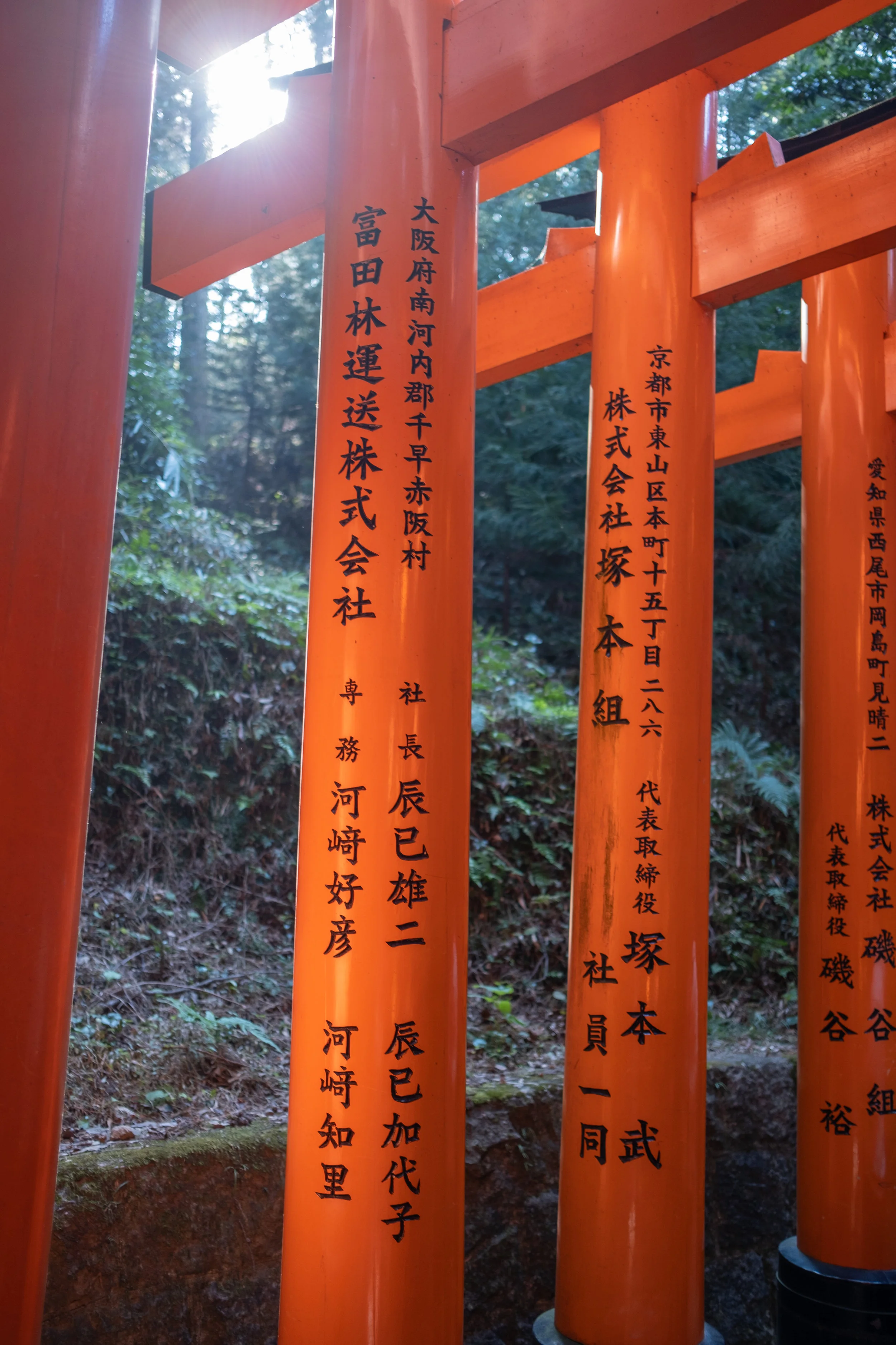 DSCF1180.jpg