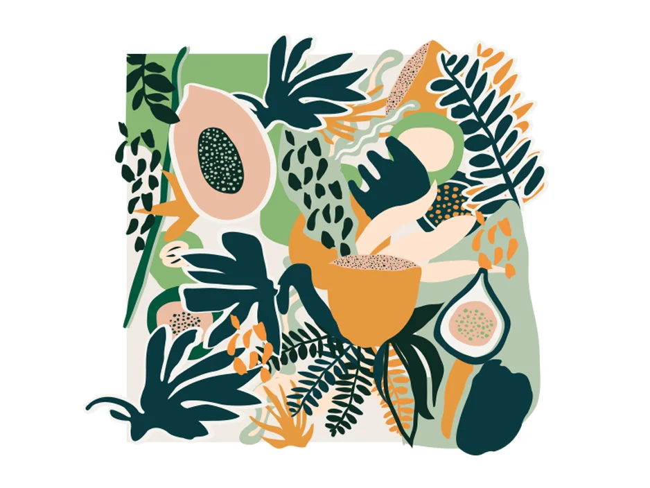 FIT FOOD . Illustration.