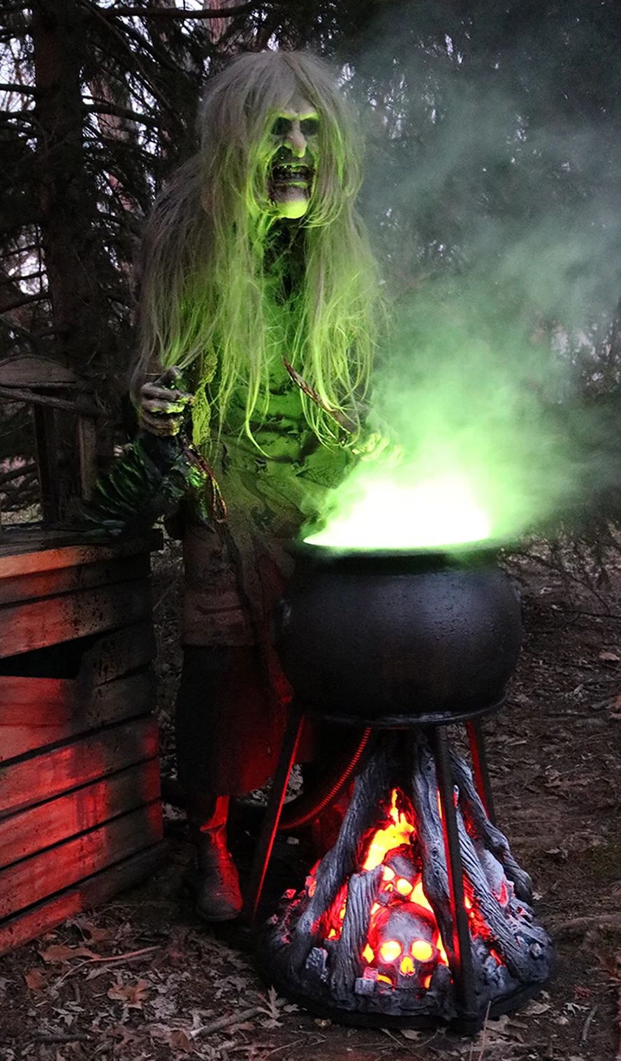 witch2.jpg