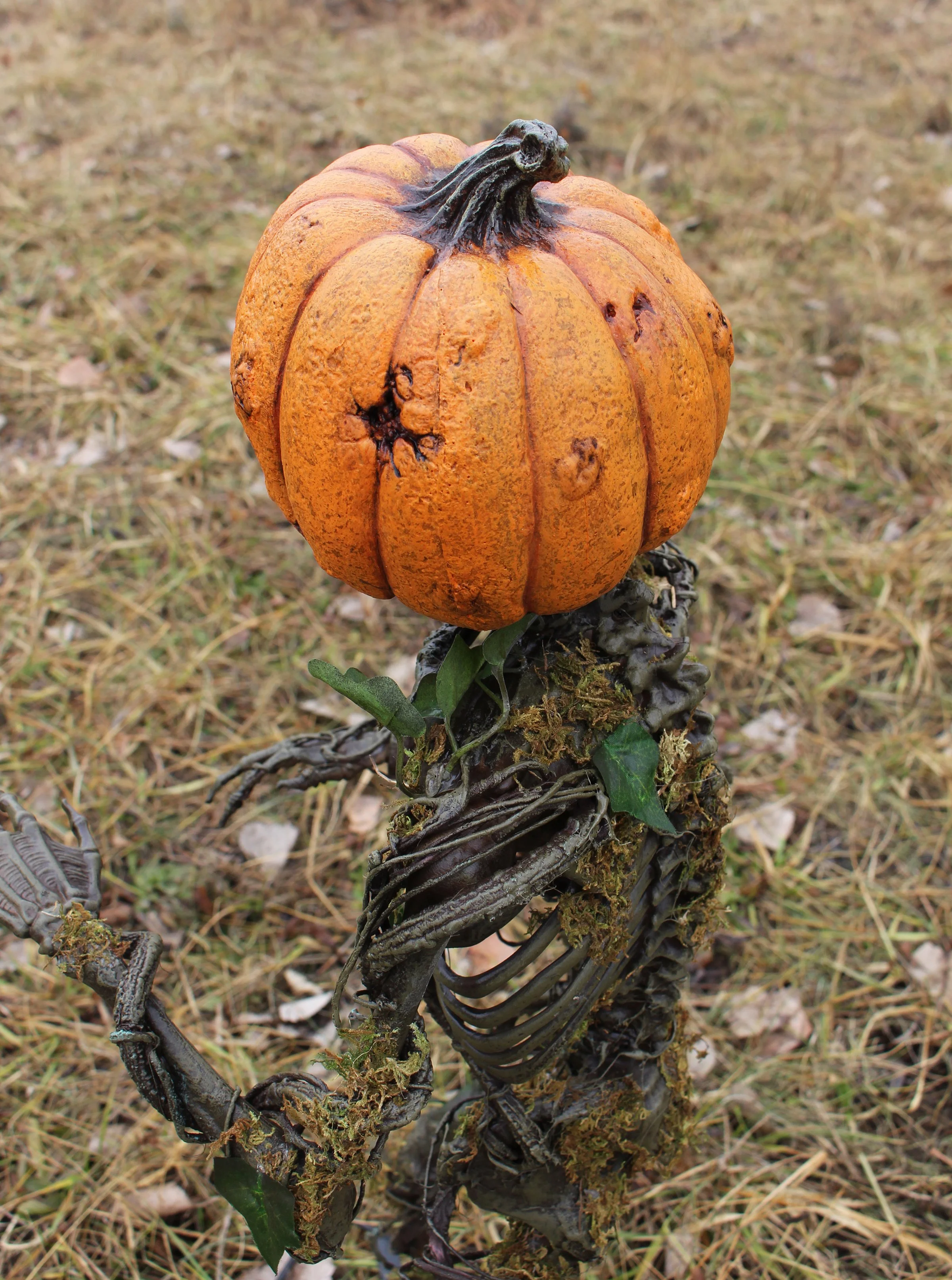 Hooligan Pumpling 8.jpg