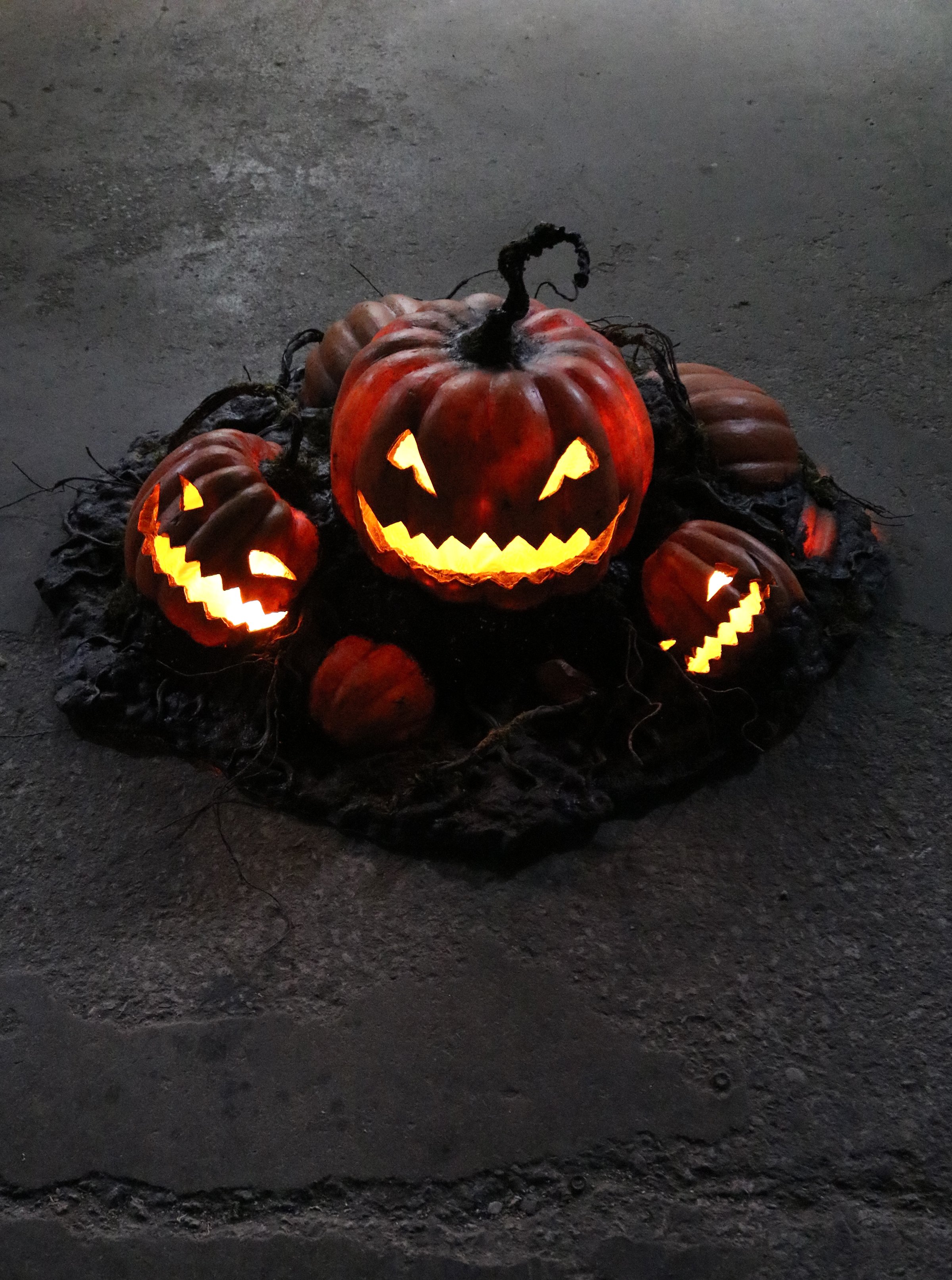 Jack-o'-lantern Patch