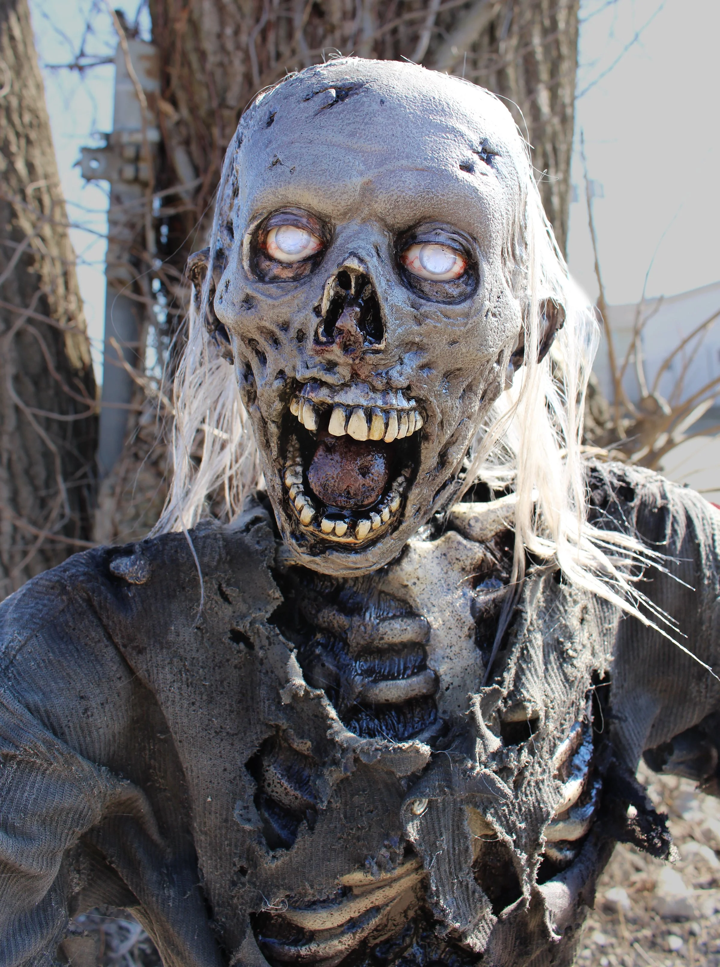 Rotating Allen 3.jpg