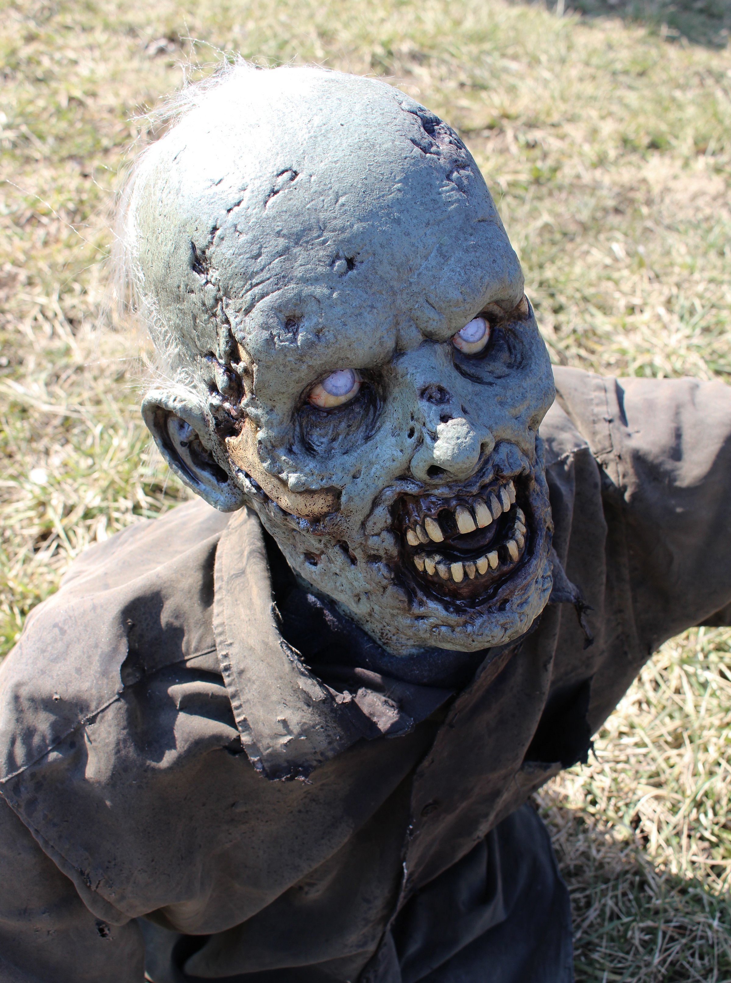 Burt Groundbreaker 3.jpg