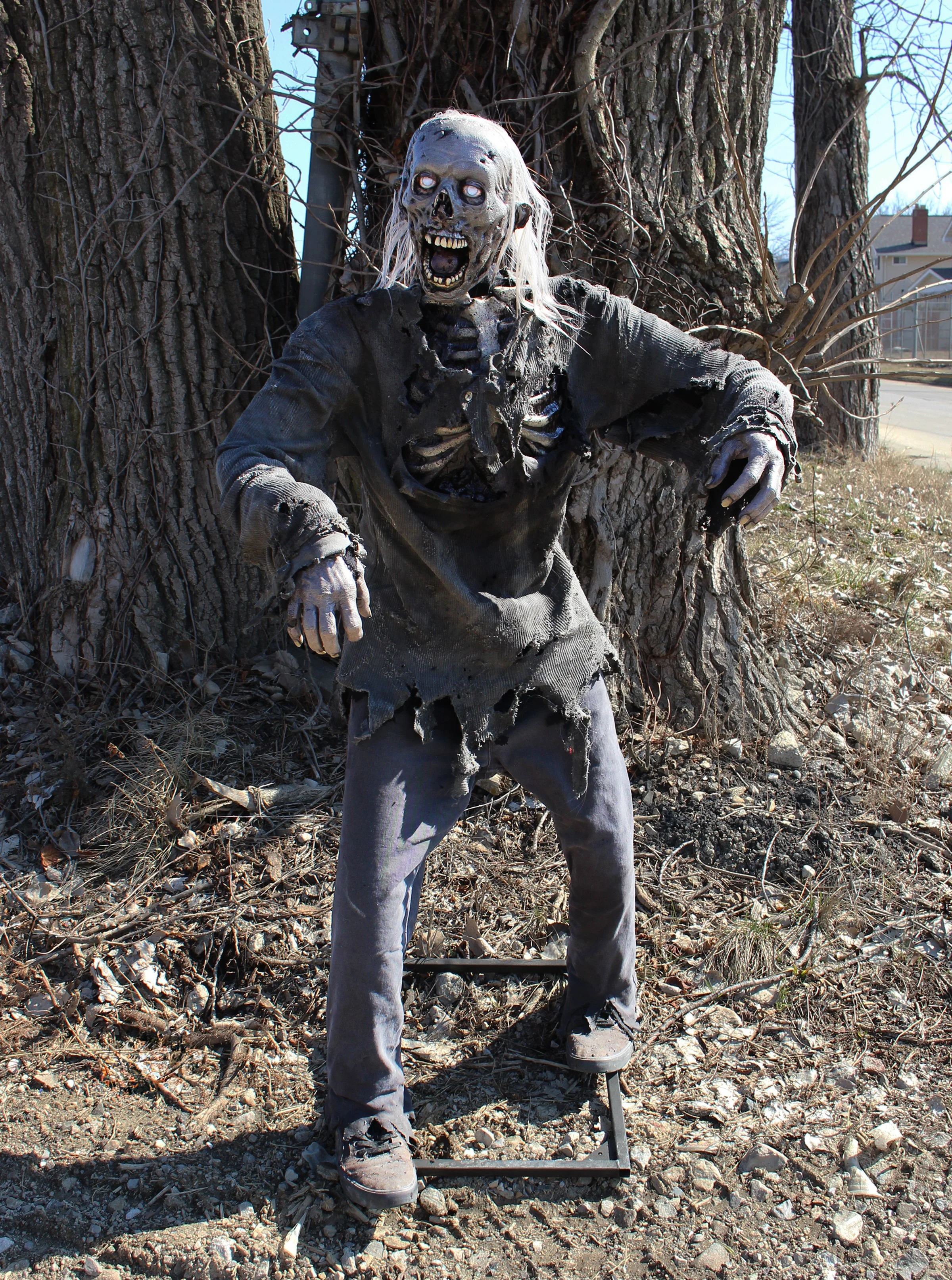 Rotating Allen 1.jpg