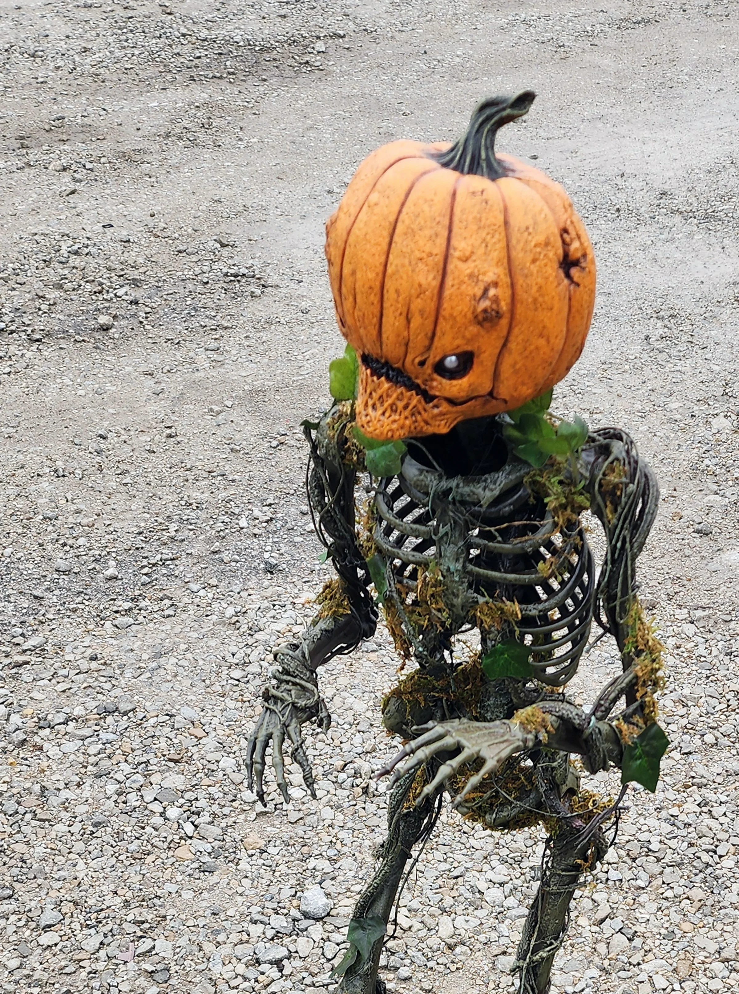 Hooligan Pumpling 3.jpg