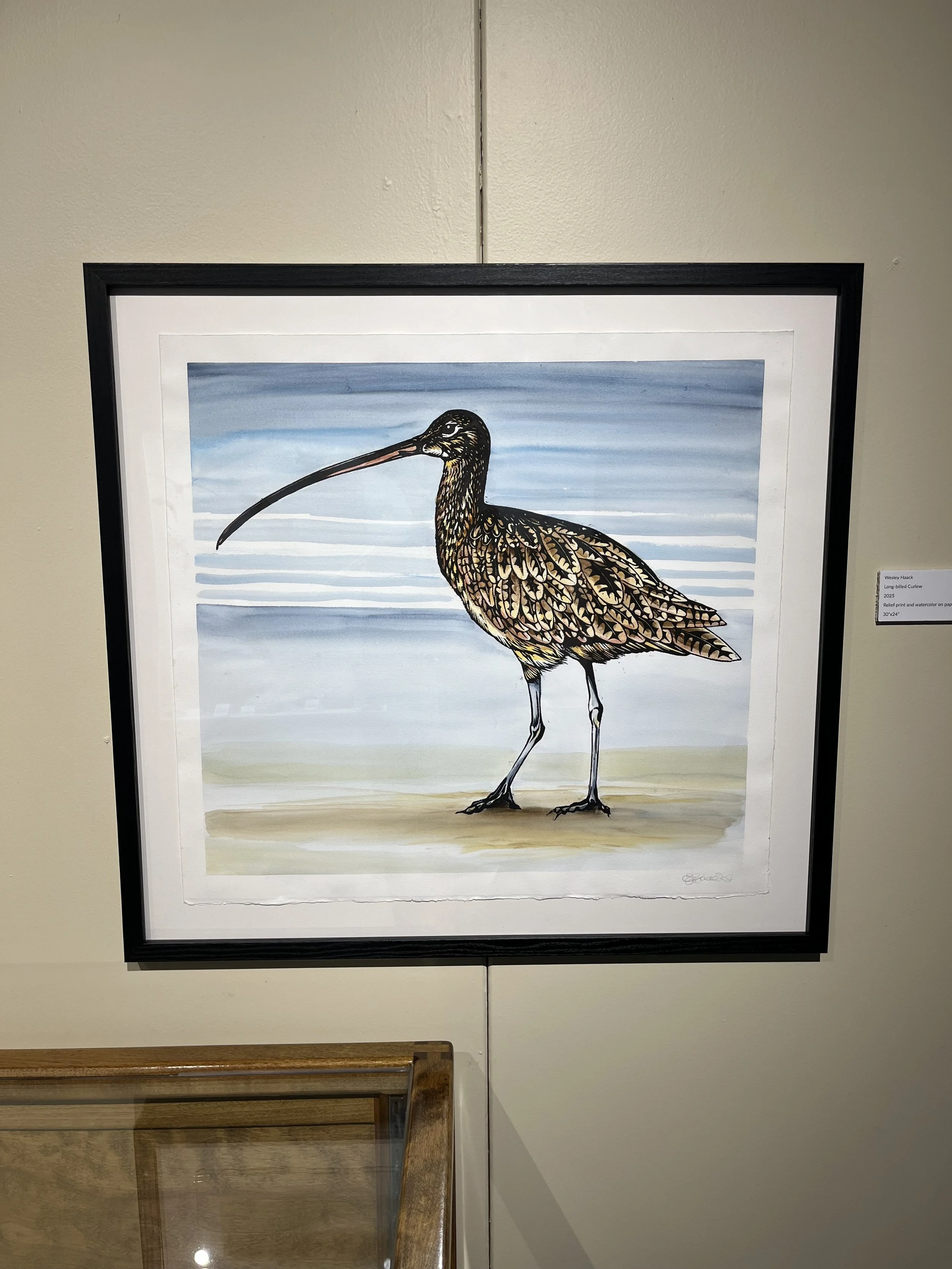 Long-billed Curlew watercolor print