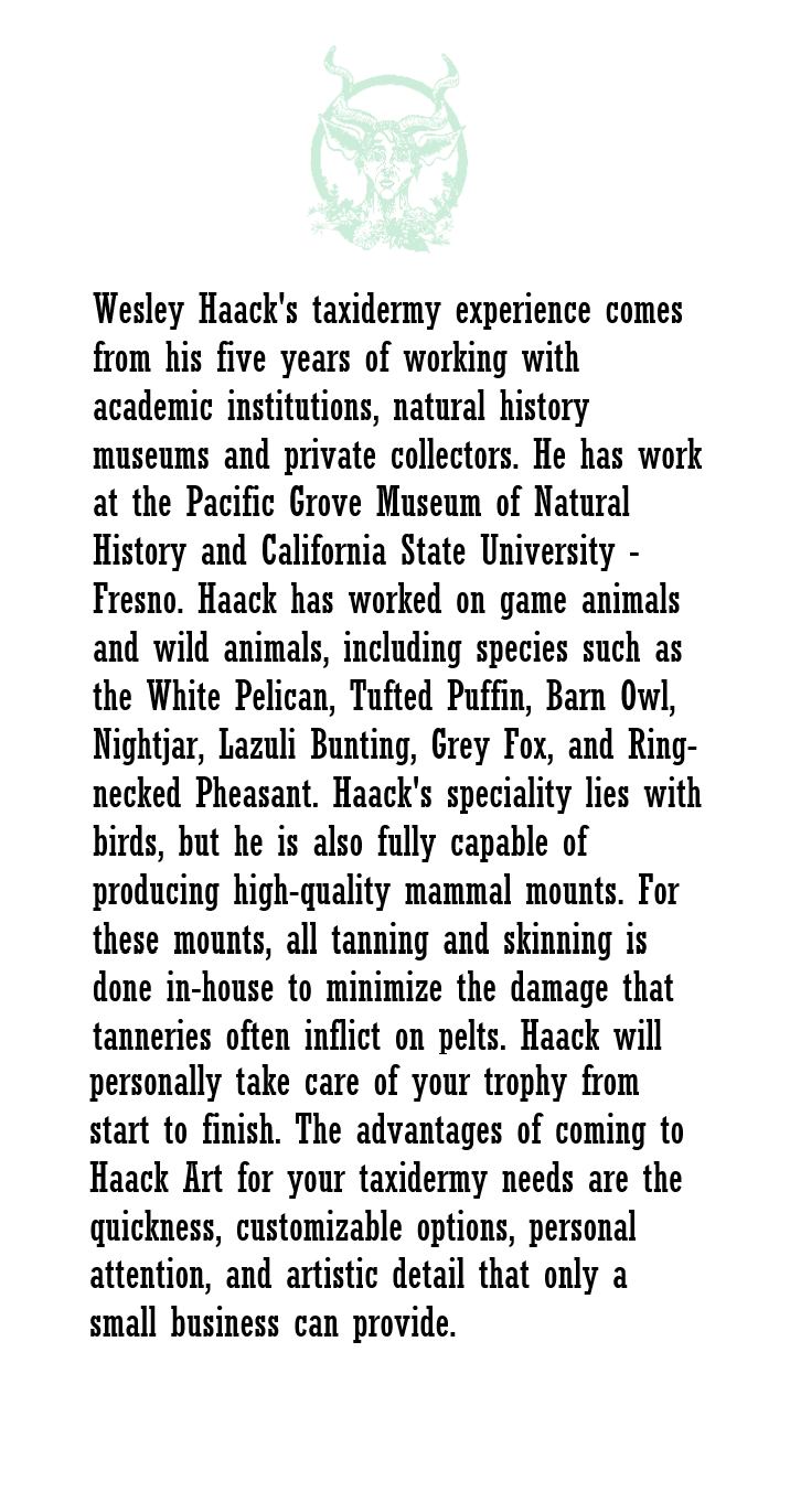 Taxidermy Experience.png