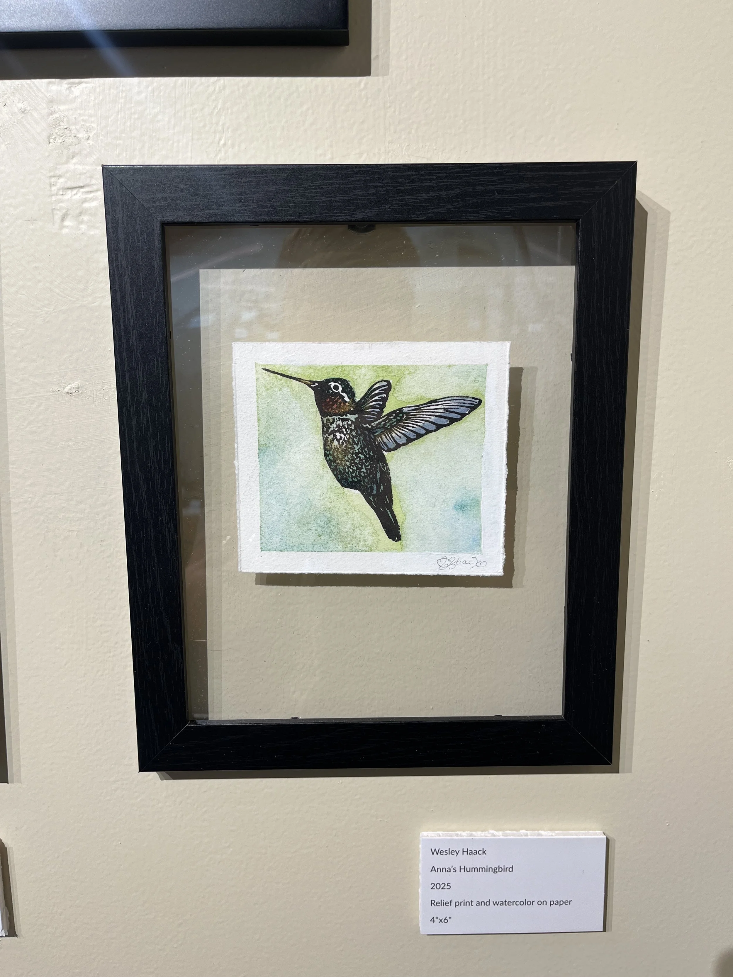 Anna's Hummingbird watercolor print